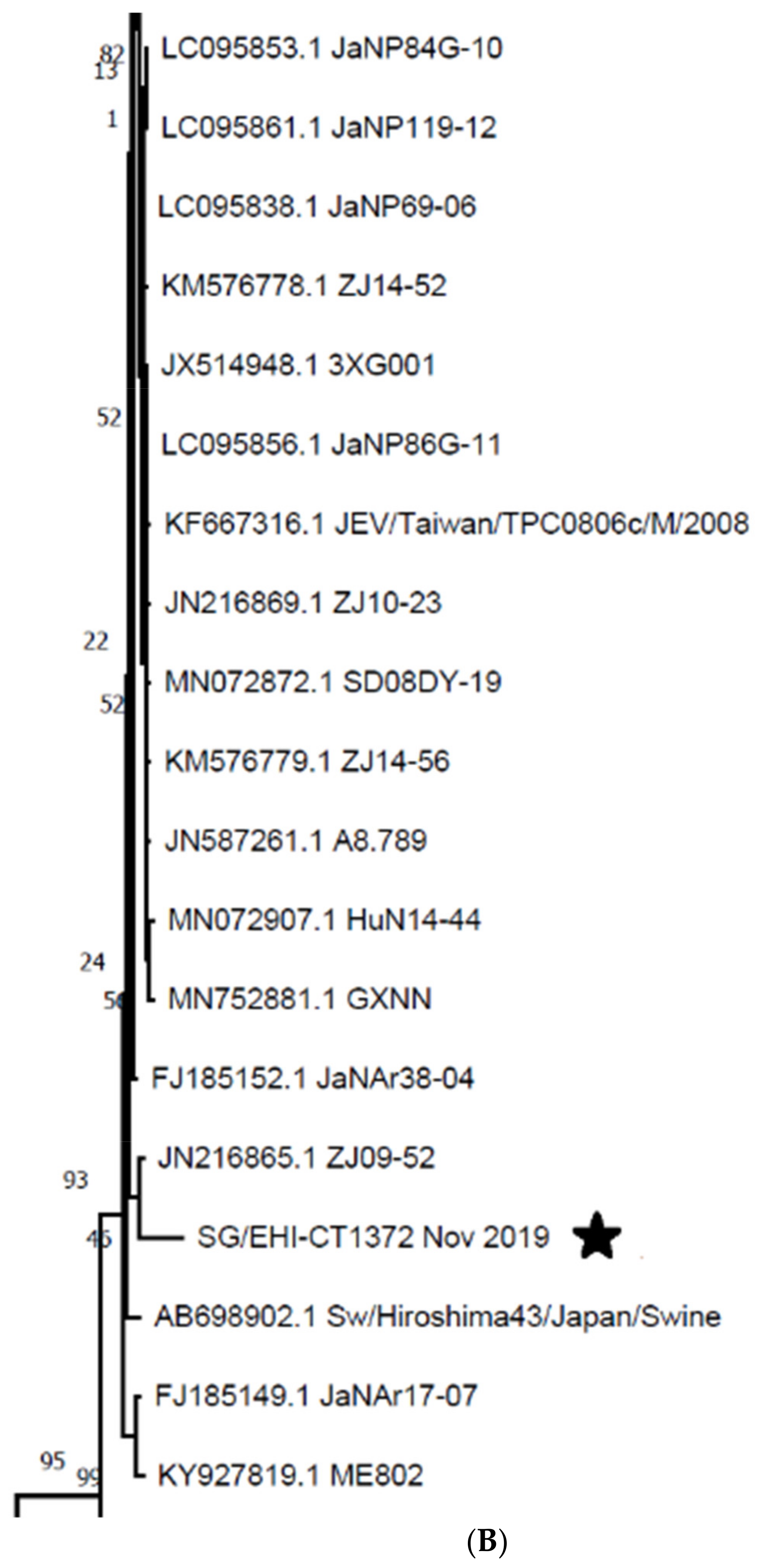 Viruses 14 02662 g002b