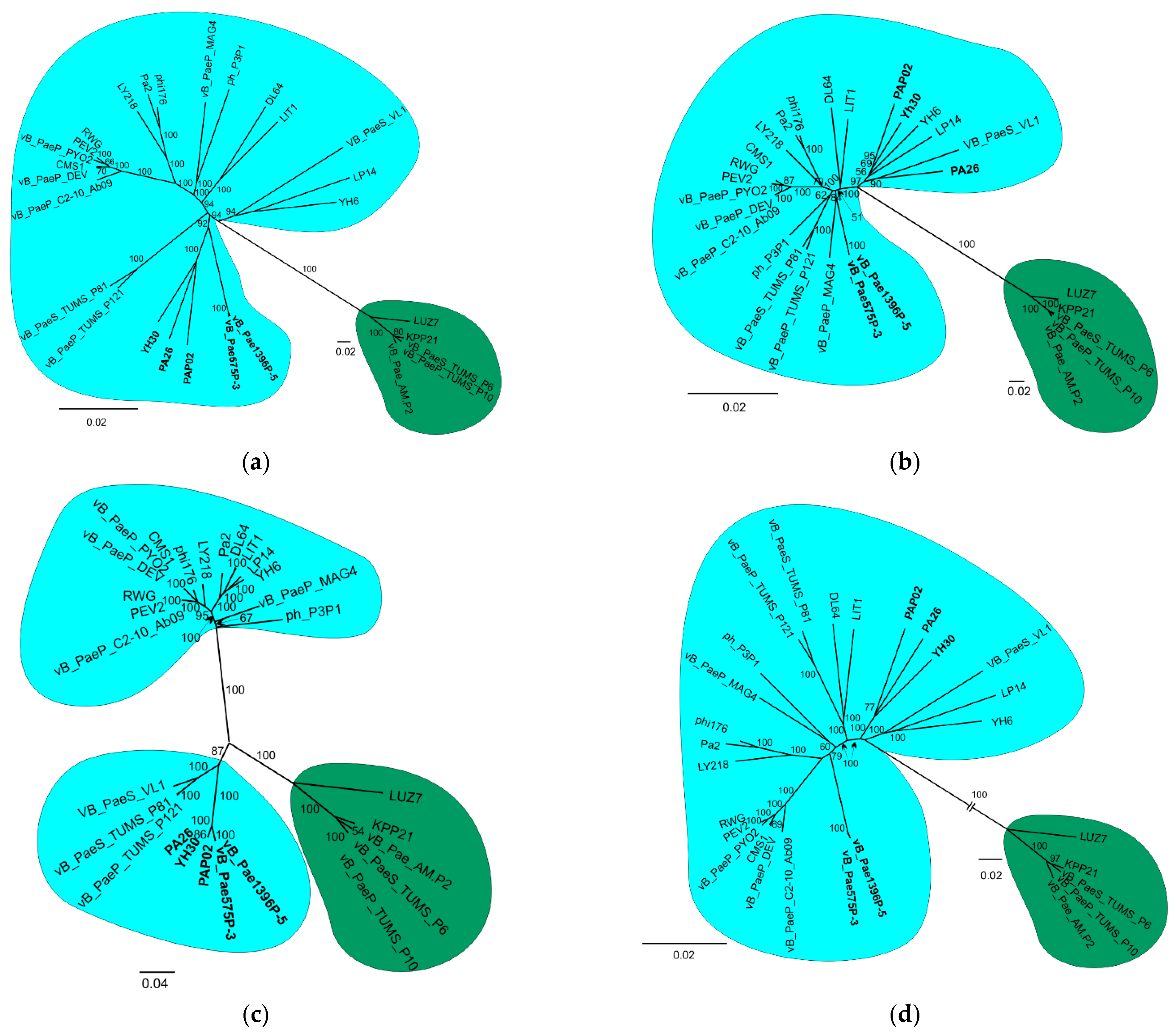 Viruses 14 02669 g002