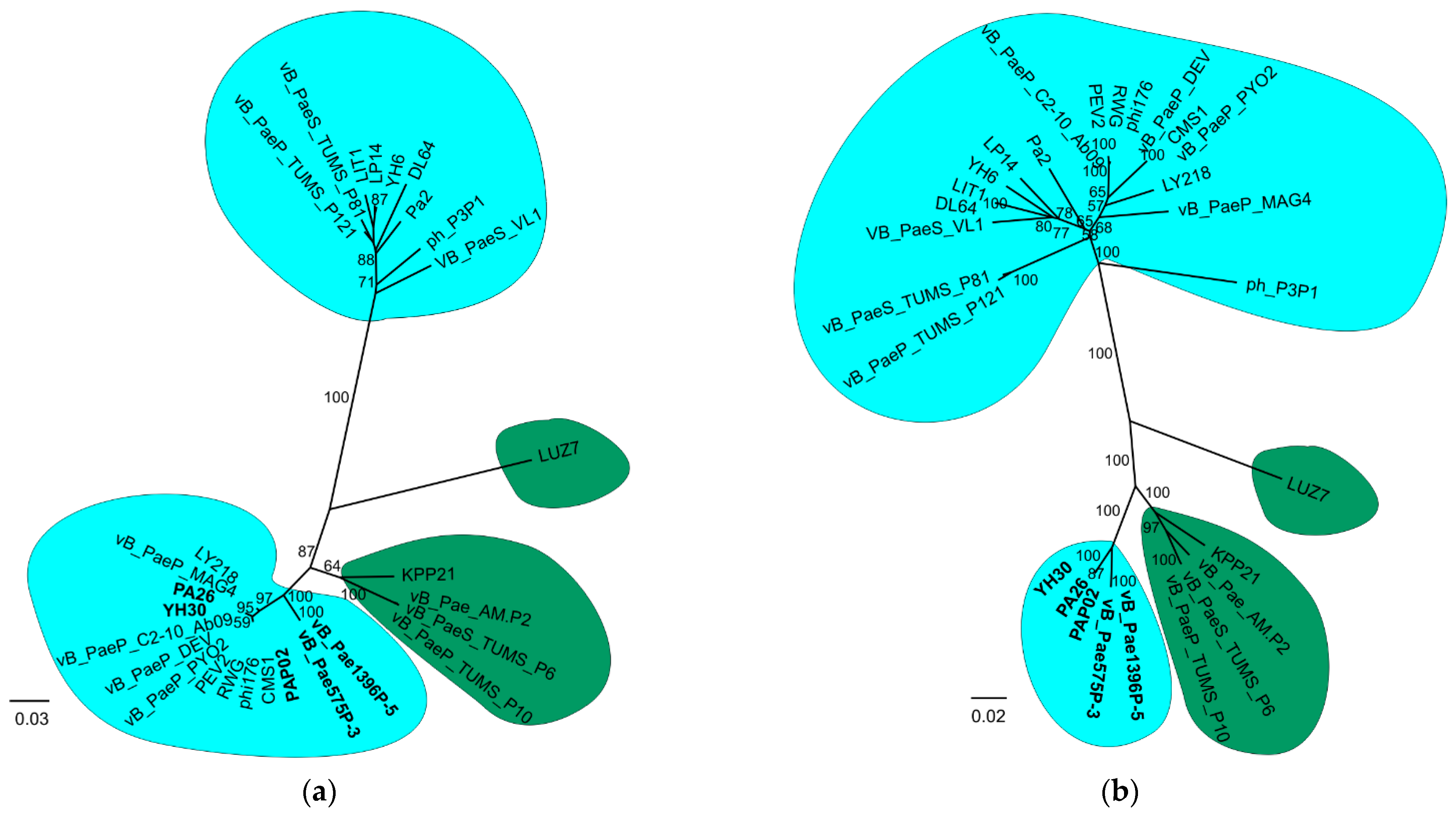 Viruses 14 02669 g003a