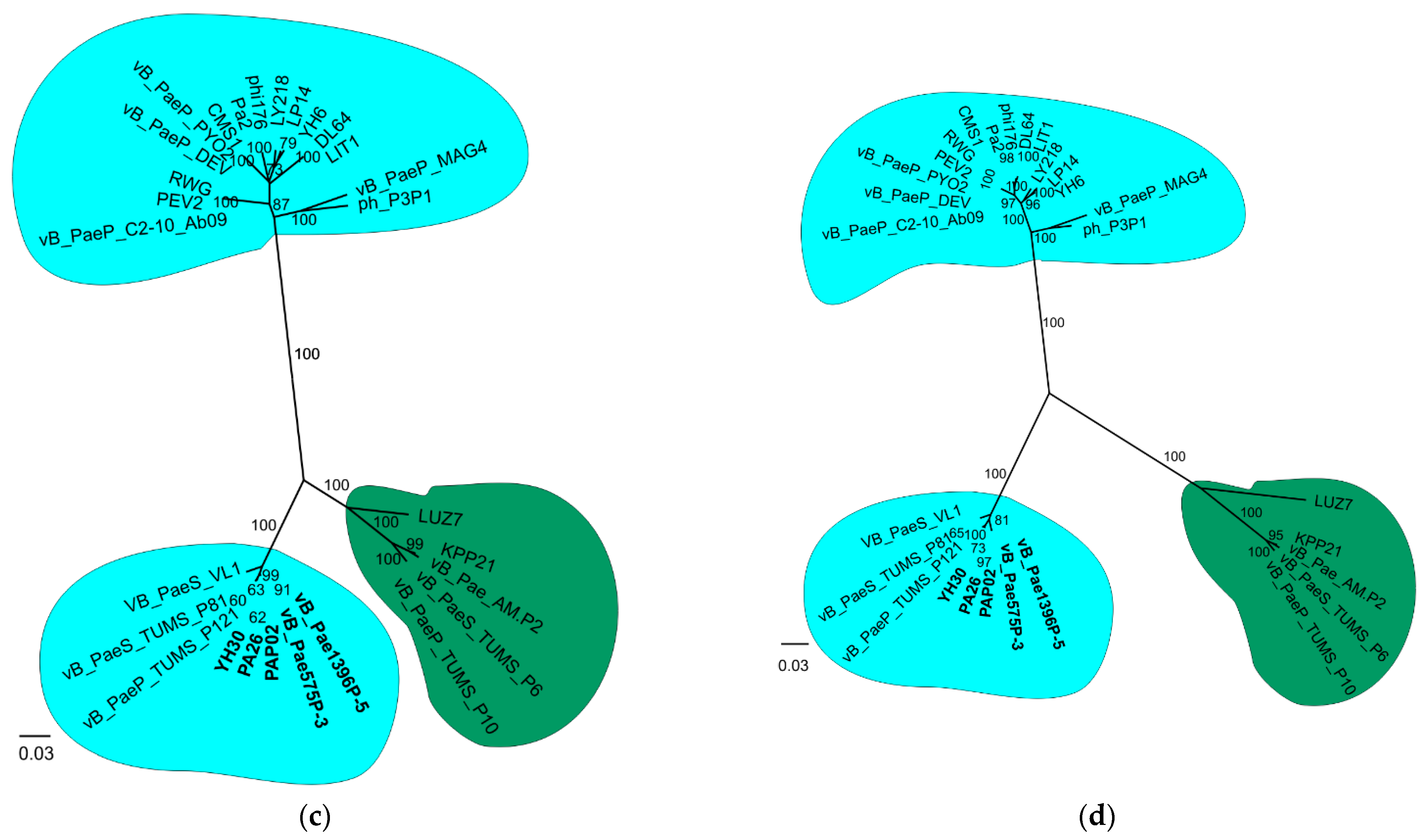 Viruses 14 02669 g003b