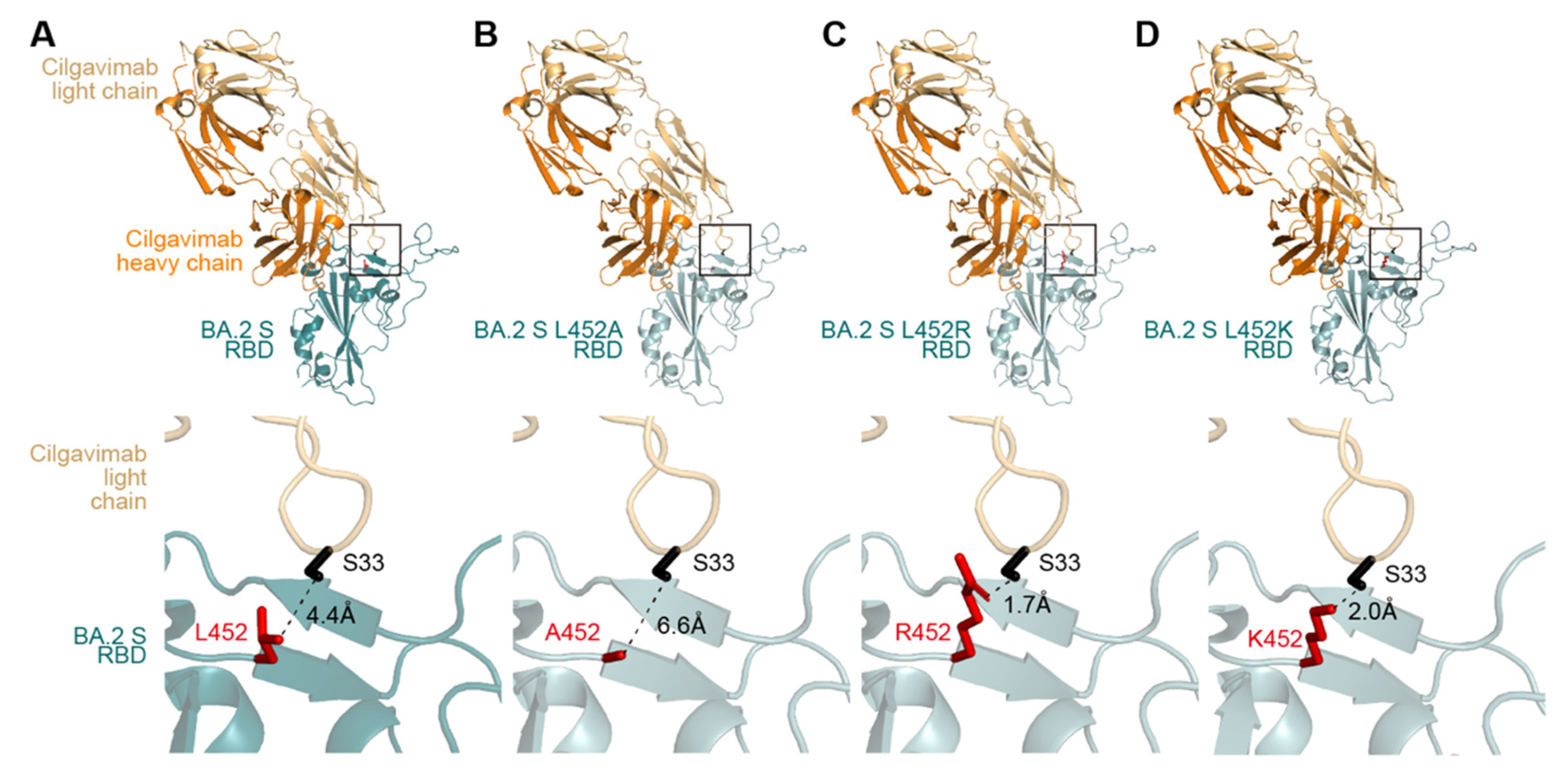 Viruses 14 02677 g001