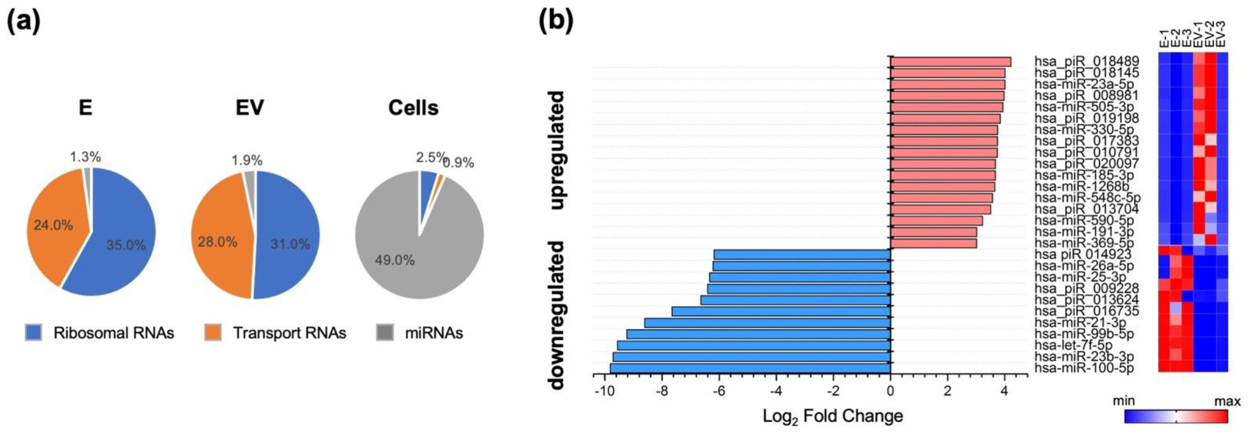 Viruses 14 02690 g001