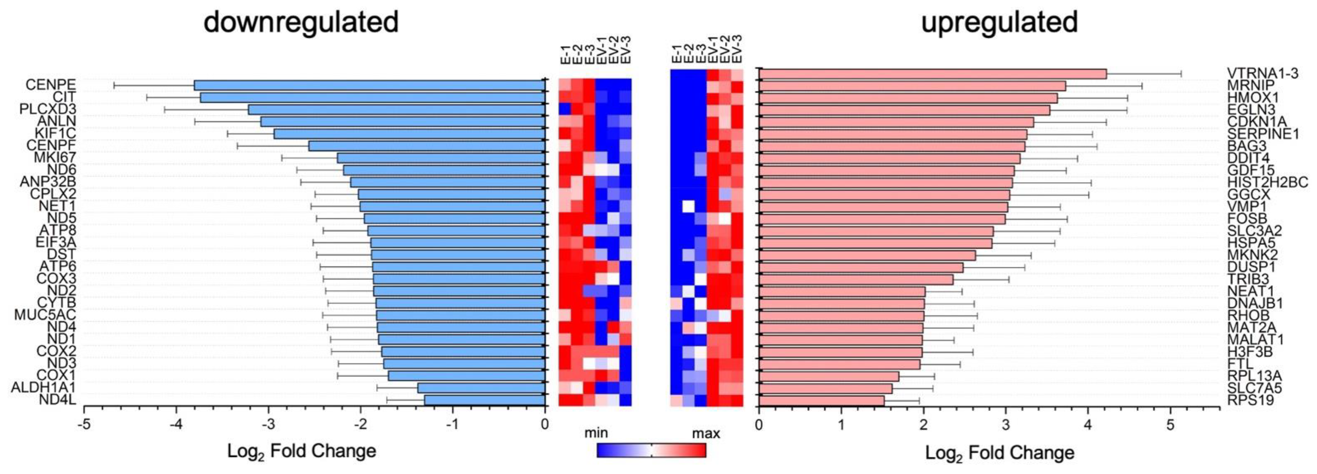 Viruses 14 02690 g002