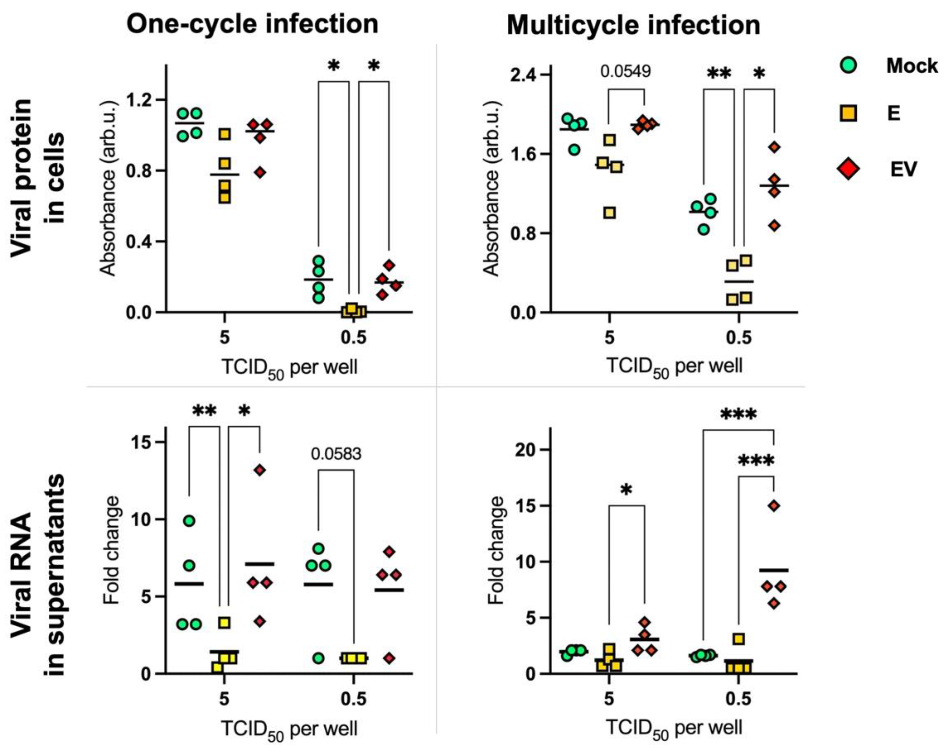 Viruses 14 02690 g005