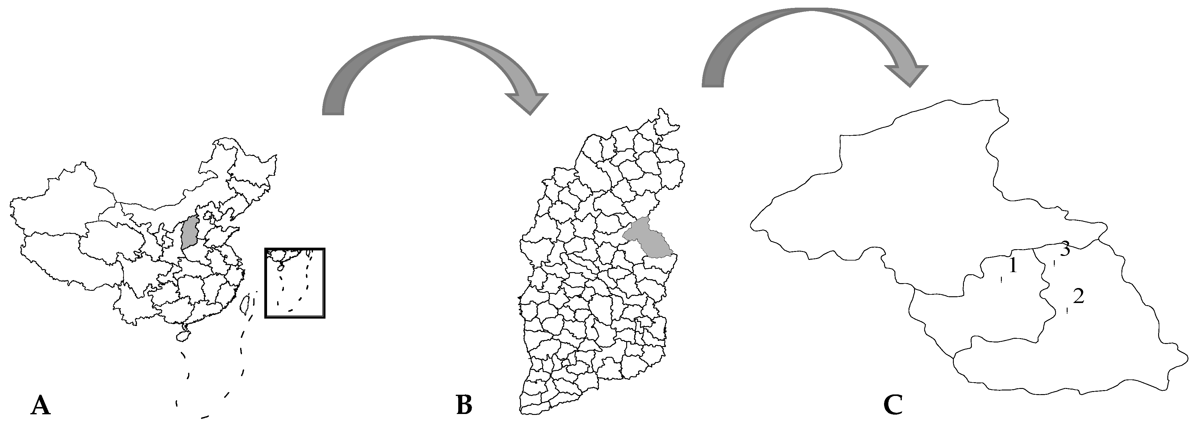 Viruses 14 02692 g001