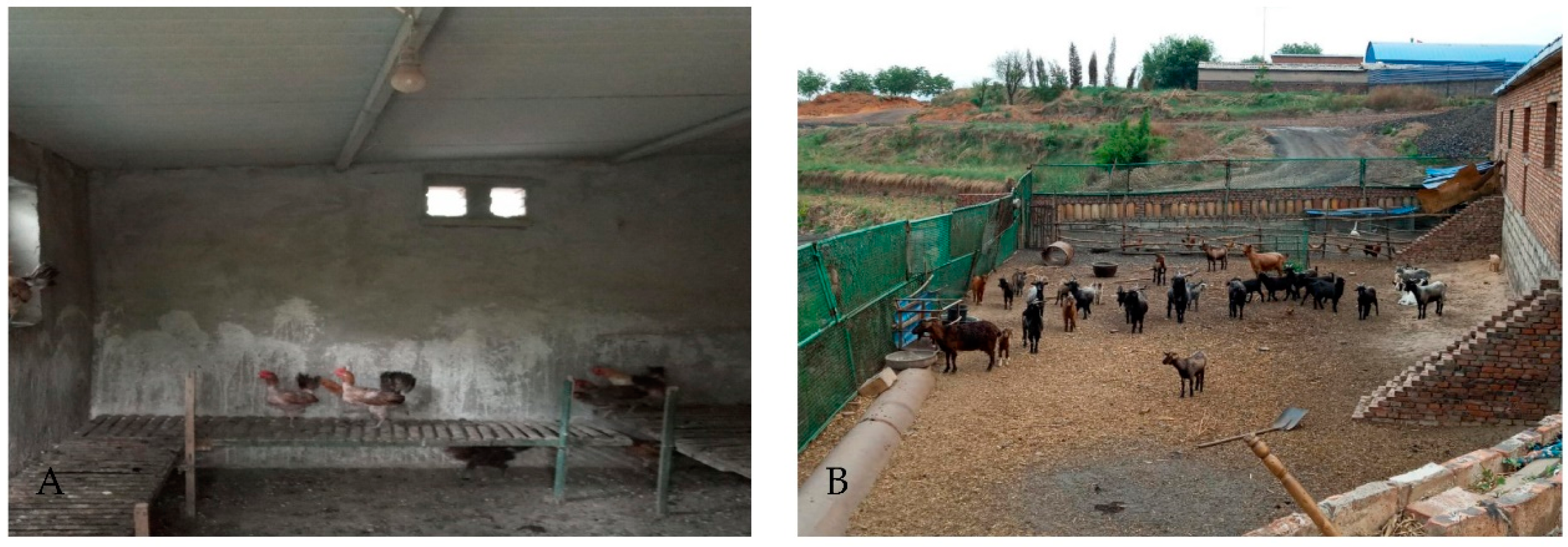 Viruses 14 02692 g002