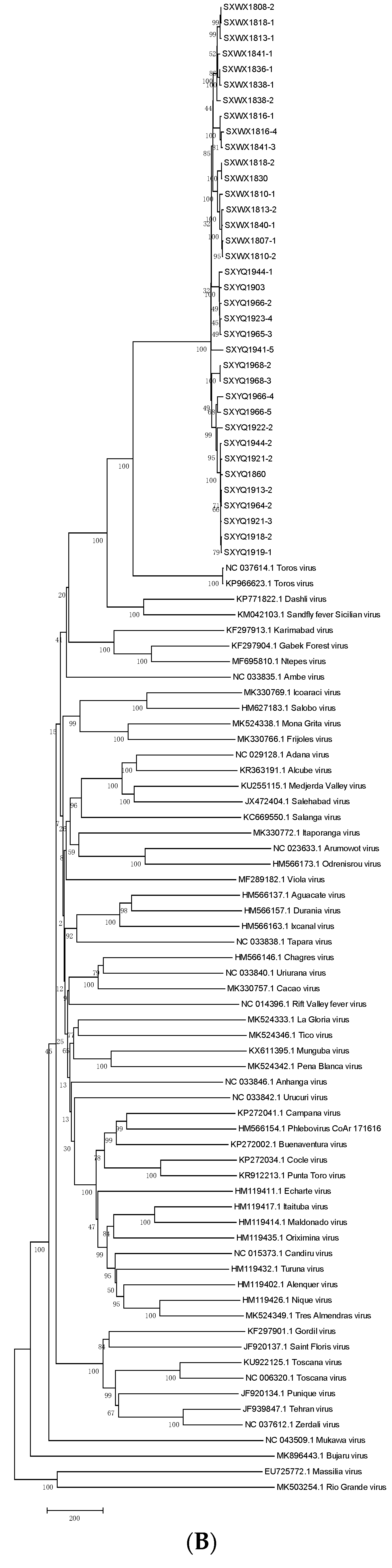 Viruses 14 02692 g004b