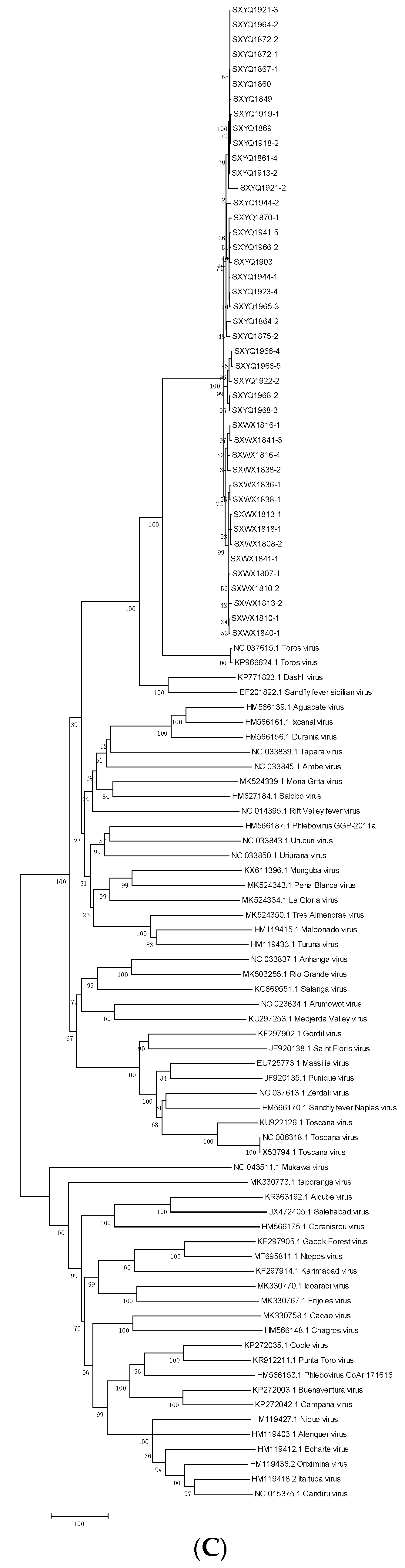 Viruses 14 02692 g004c