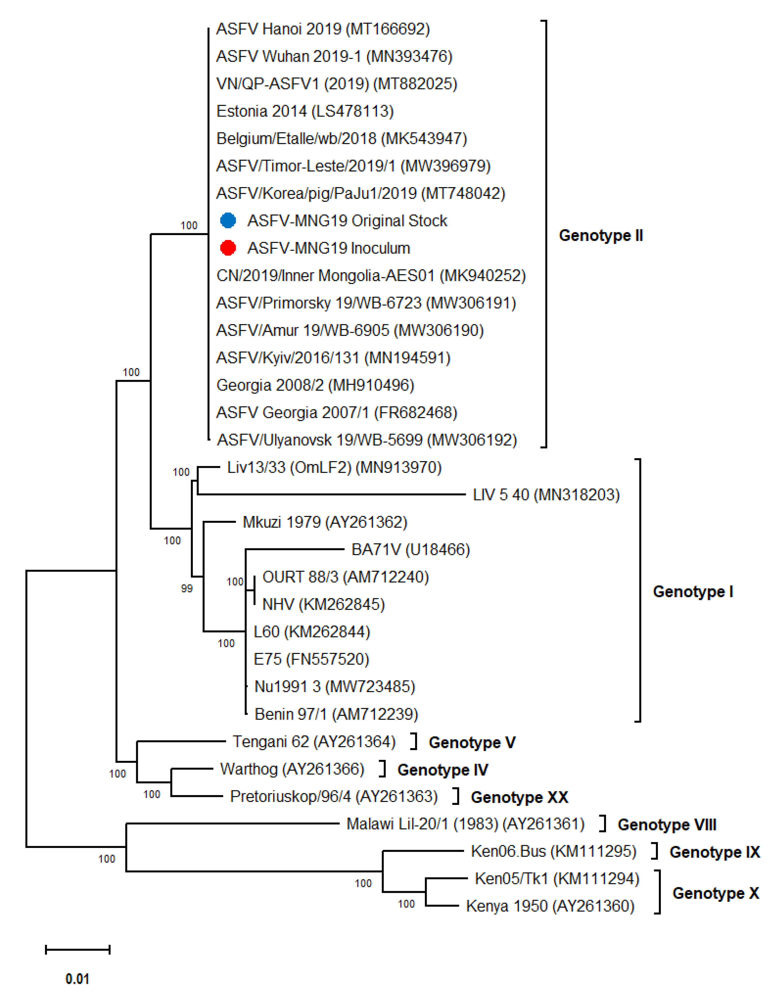 Viruses 14 02698 g002 Viruses 14 02698 g002