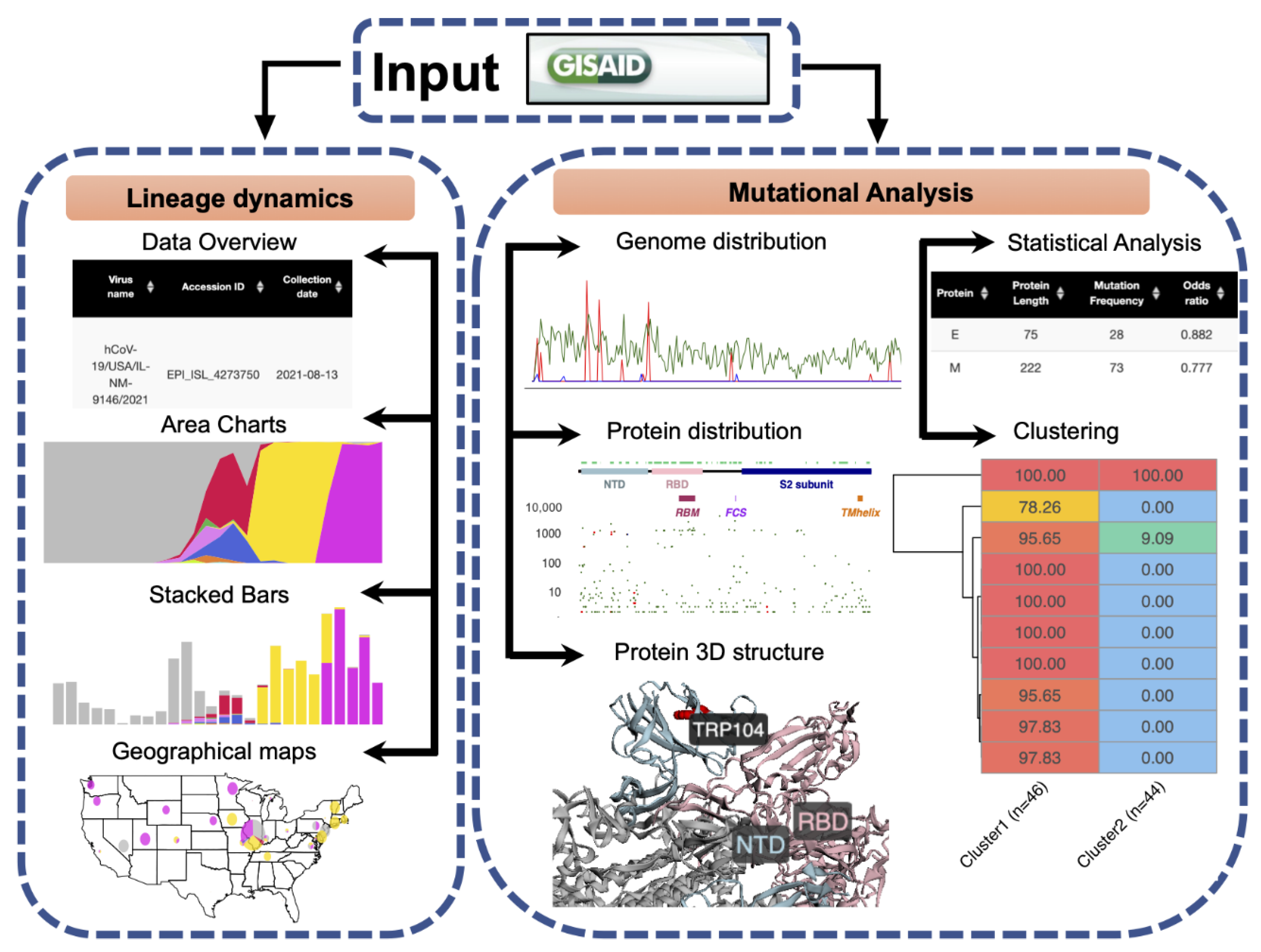 Viruses 14 02714 g001