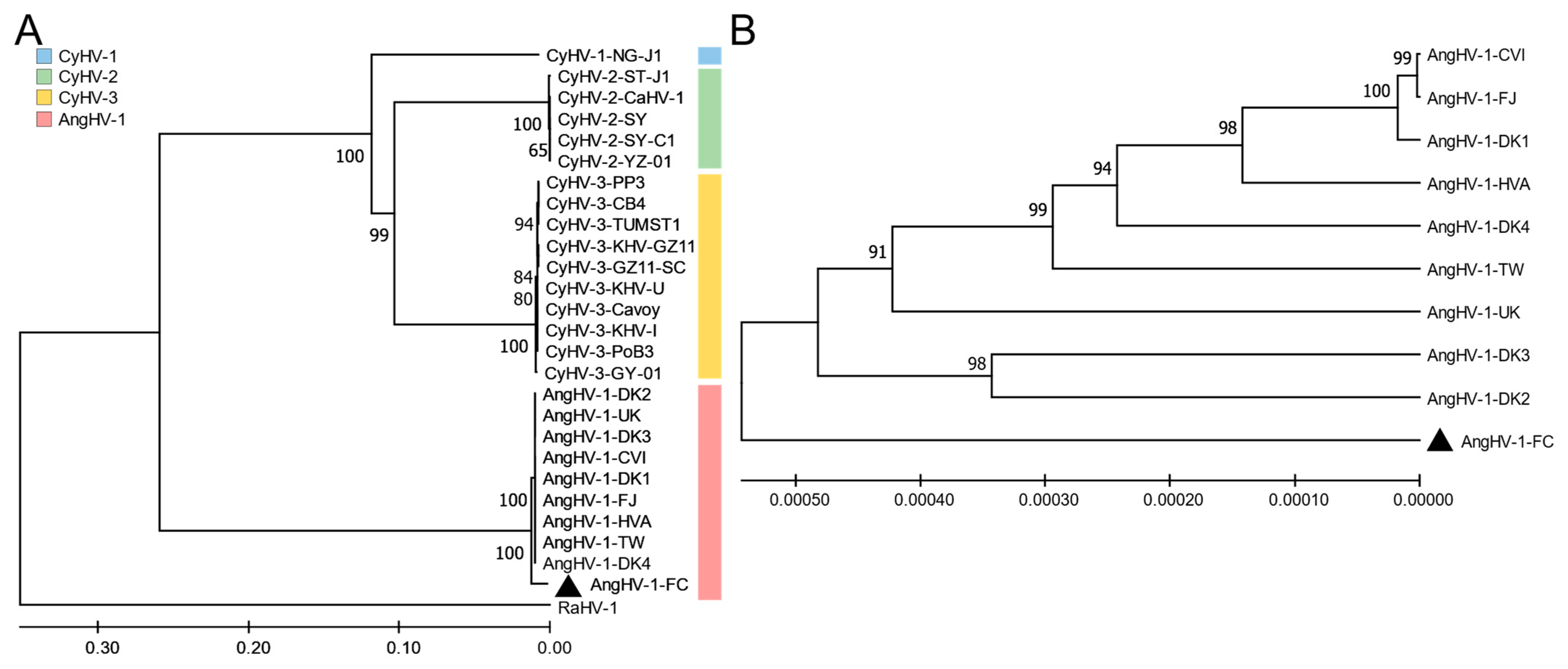 Viruses 14 02722 g007