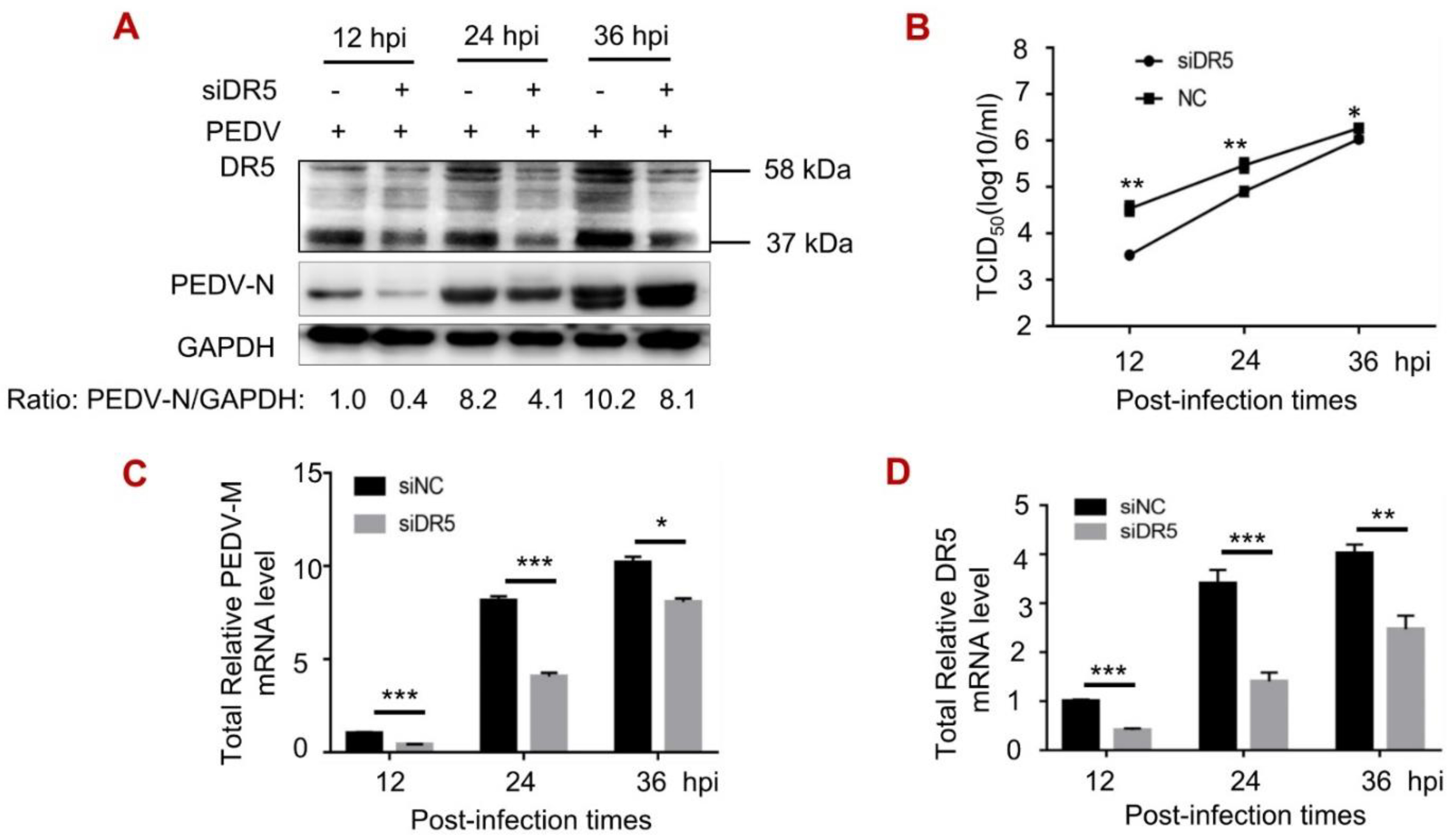 Viruses 14 02724 g001a