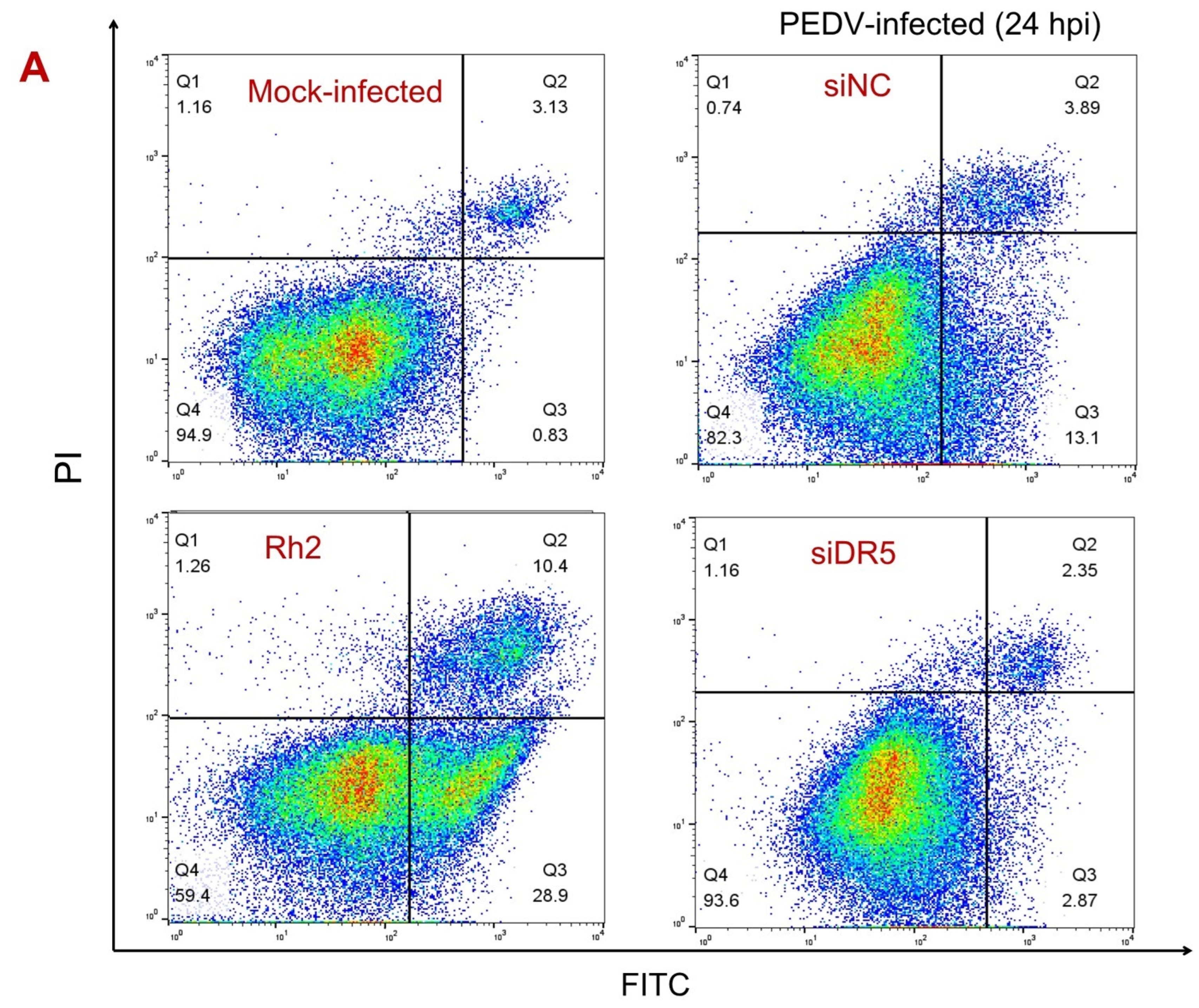 Viruses 14 02724 g003a