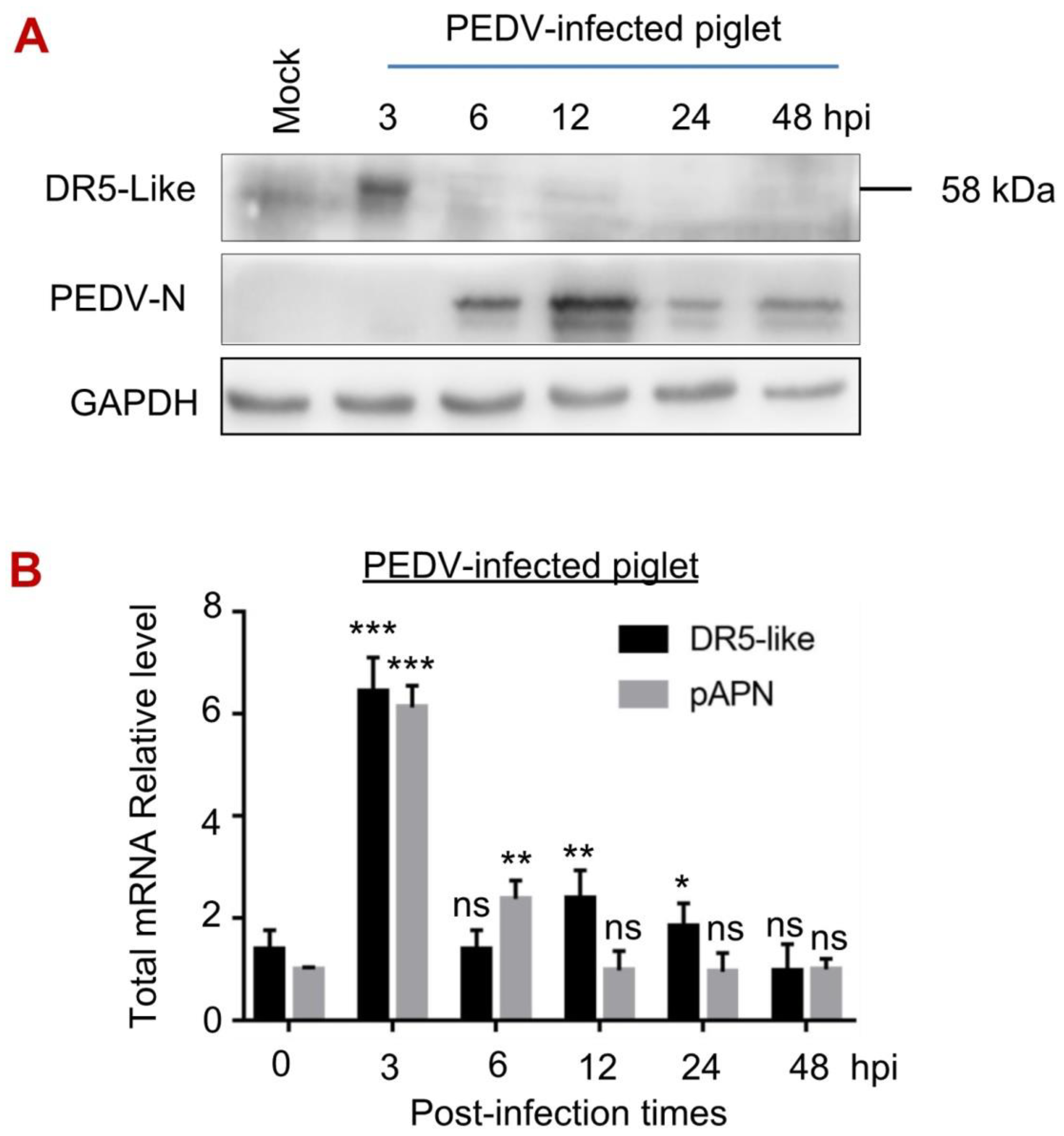 Viruses 14 02724 g005
