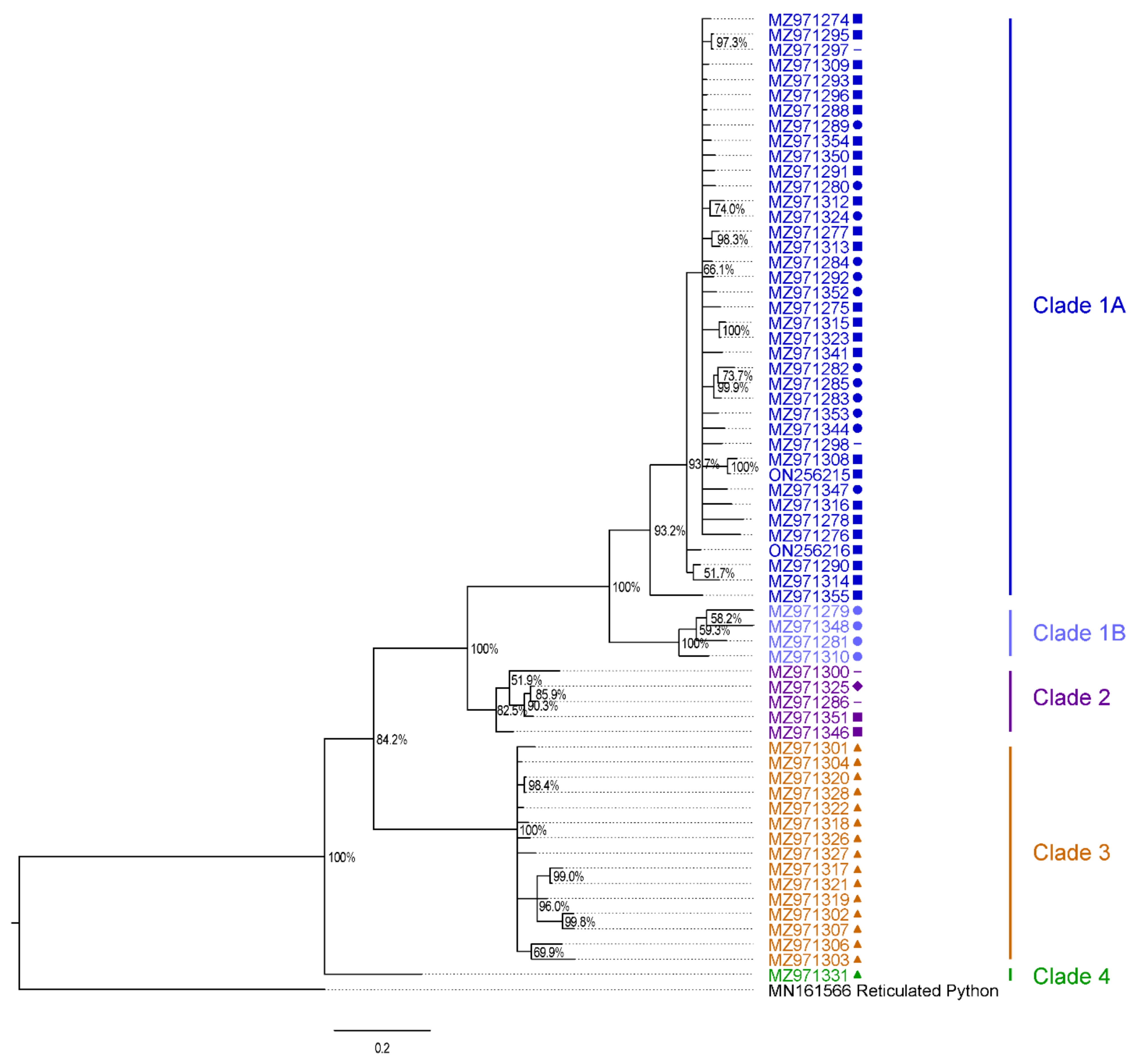 Viruses 14 02726 g002 Viruses 14 02726 g002