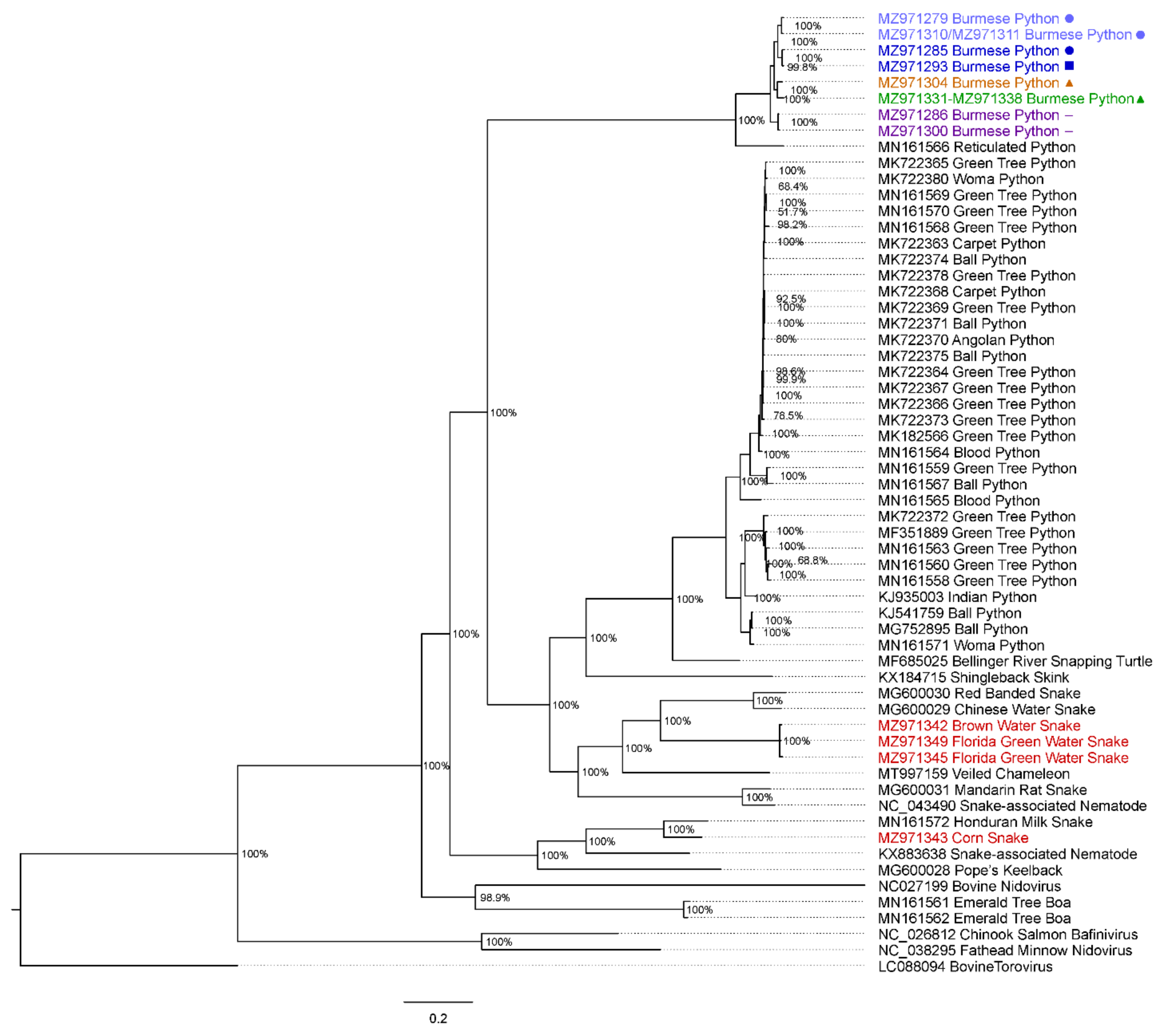 Viruses 14 02726 g003 Viruses 14 02726 g003