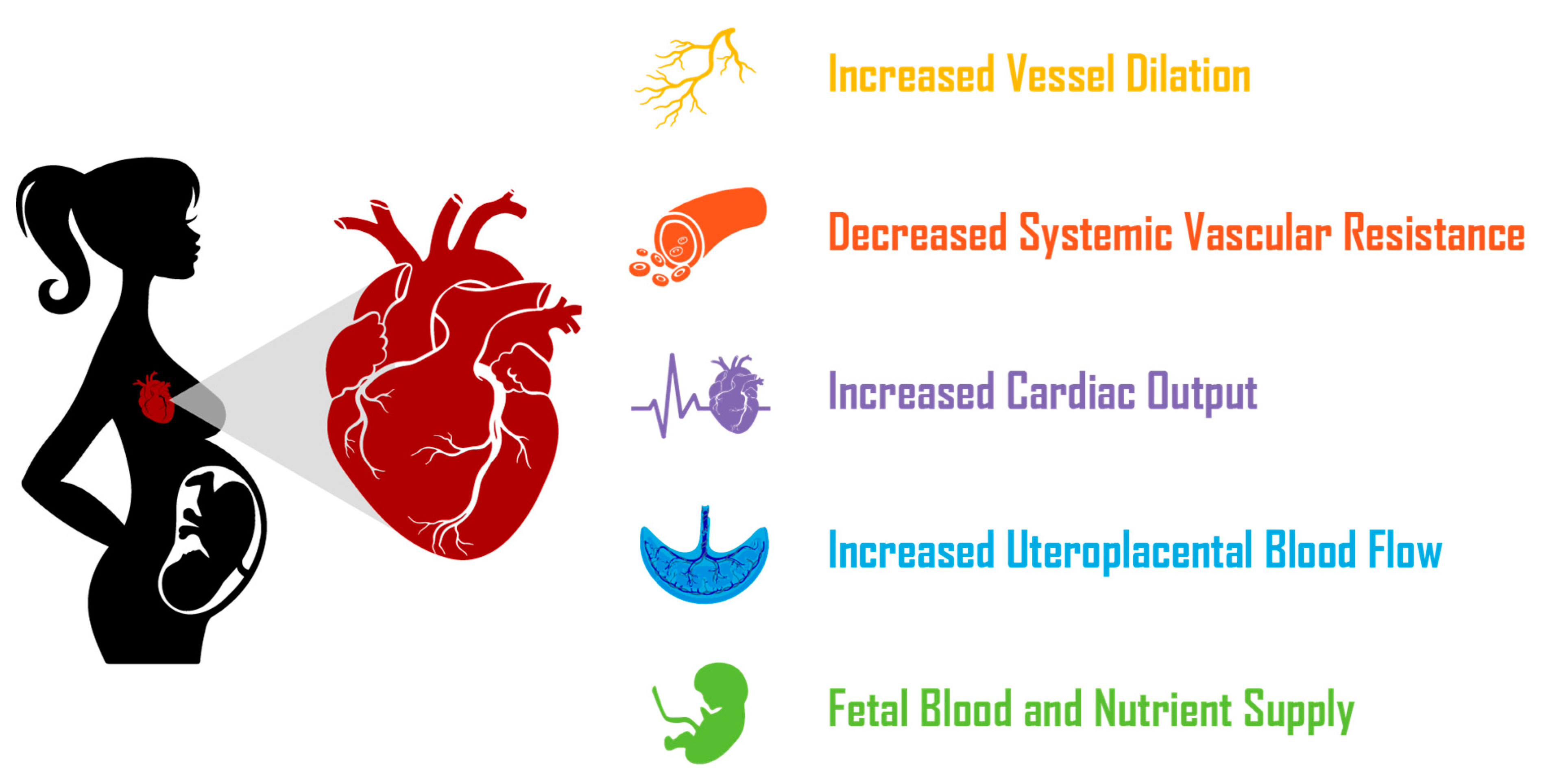 Viruses 14 02729 g003