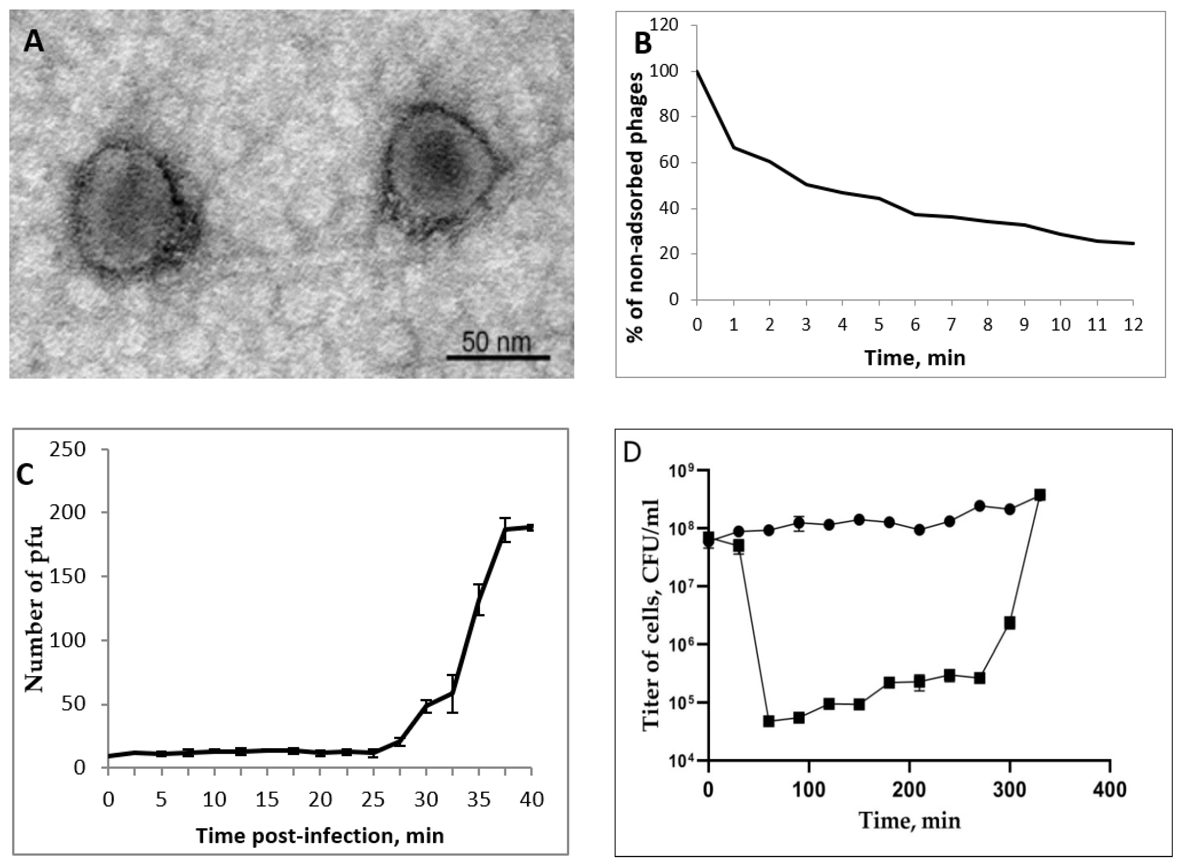 Viruses 14 02733 g001 Viruses 14 02733 g001