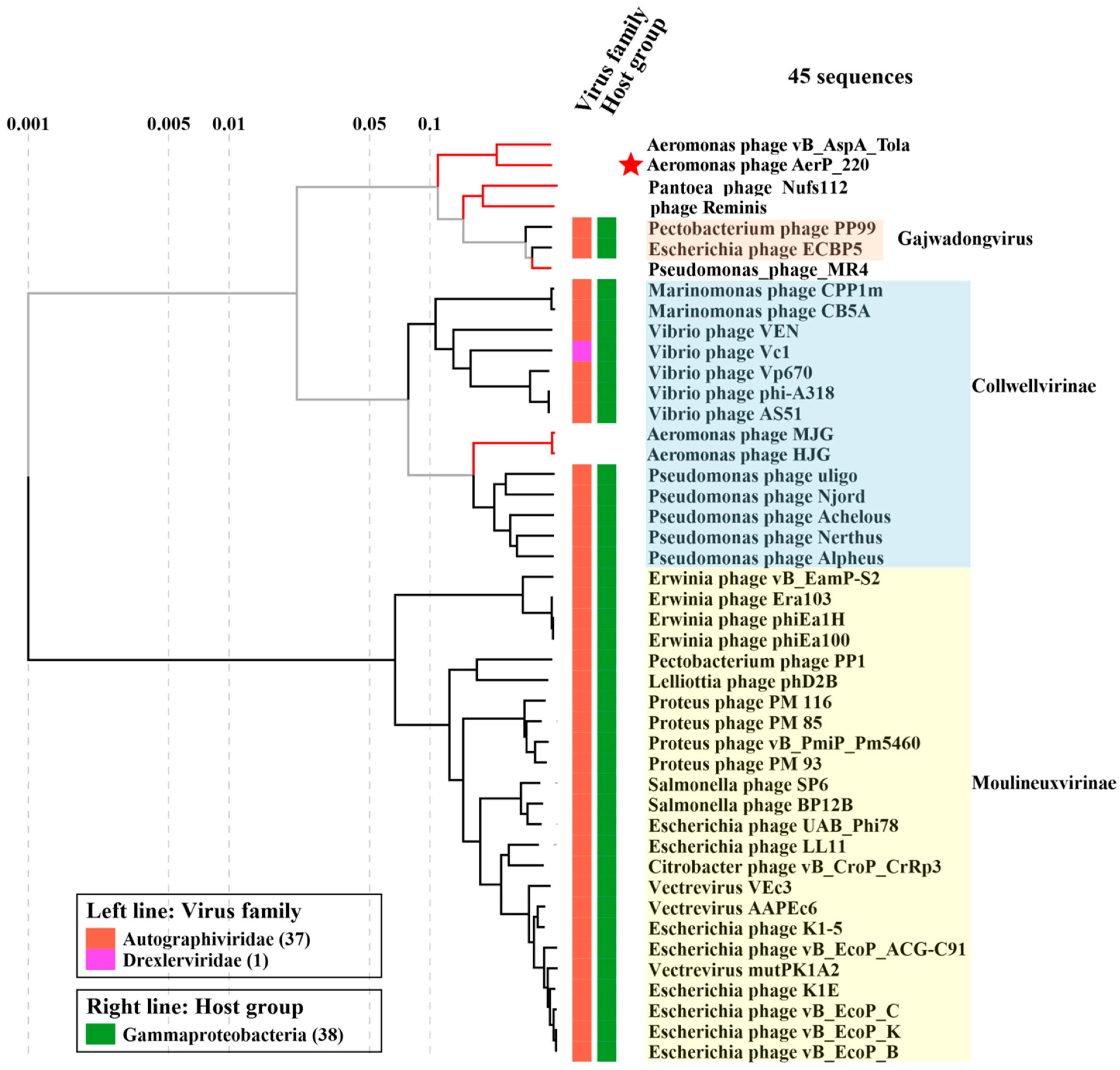 Viruses 14 02733 g003 Viruses 14 02733 g003