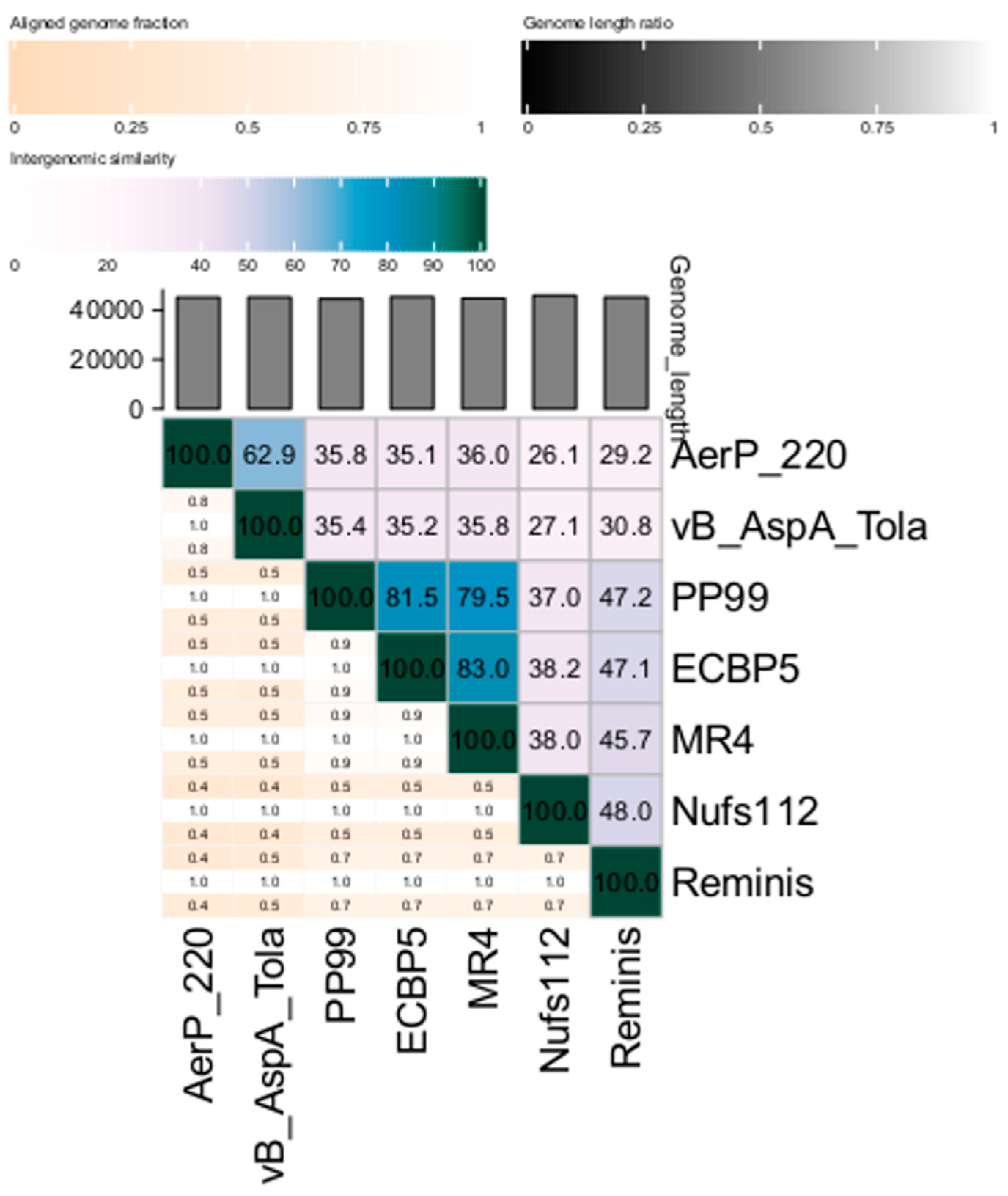 Viruses 14 02733 g004 Viruses 14 02733 g004