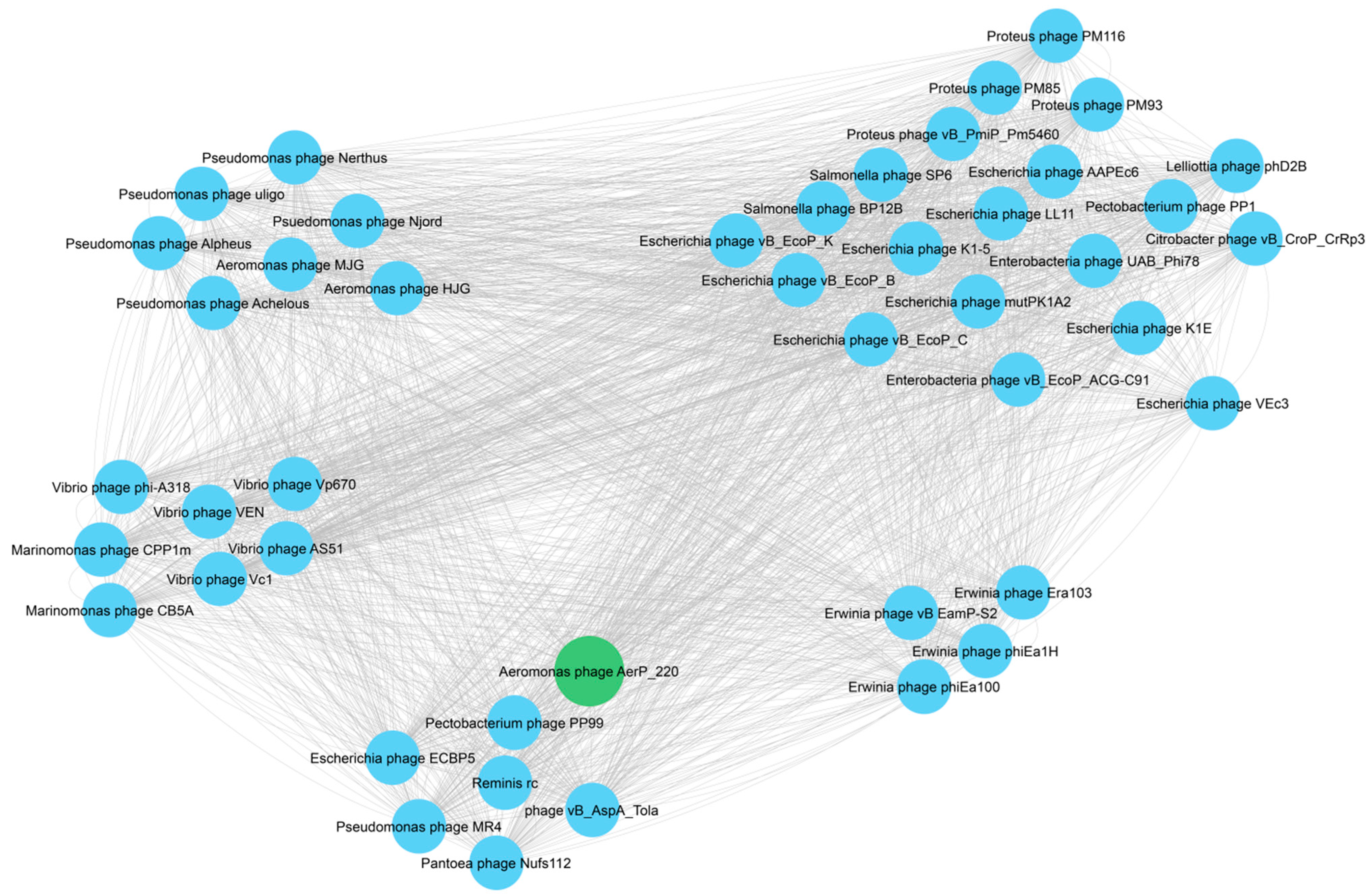 Viruses 14 02733 g005 Viruses 14 02733 g005