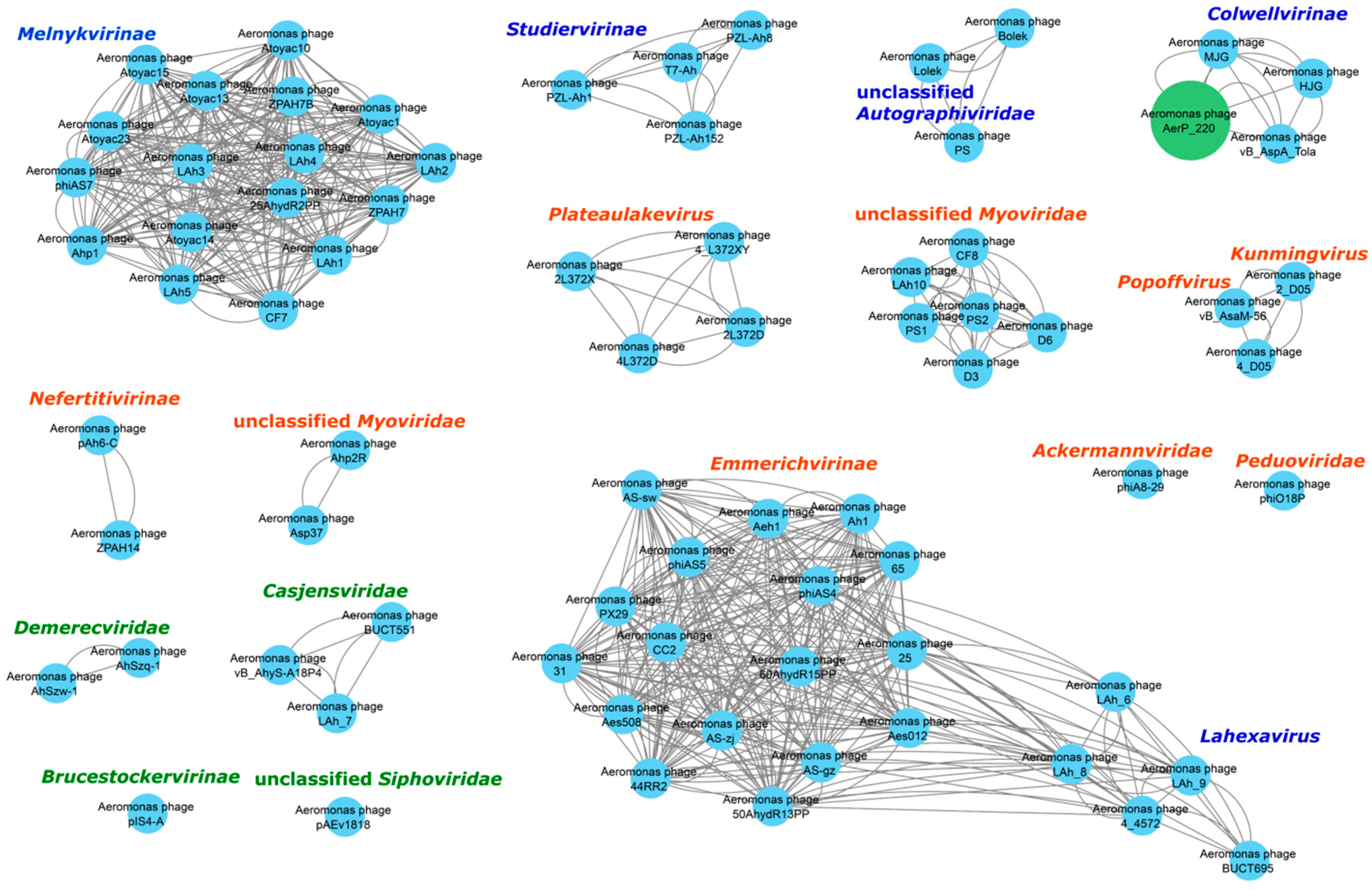 Viruses 14 02733 g006 Viruses 14 02733 g006