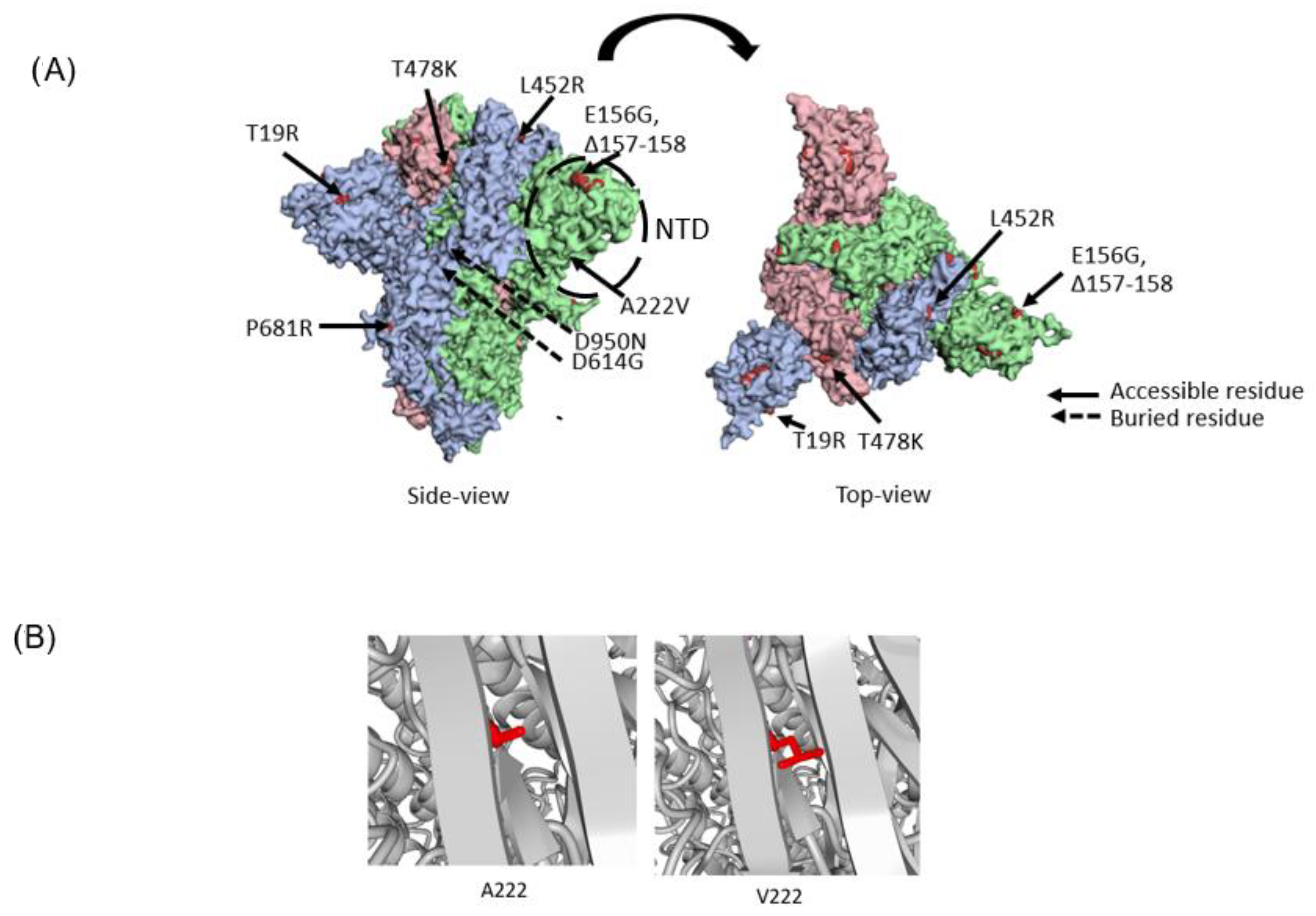 Viruses 14 02734 g006