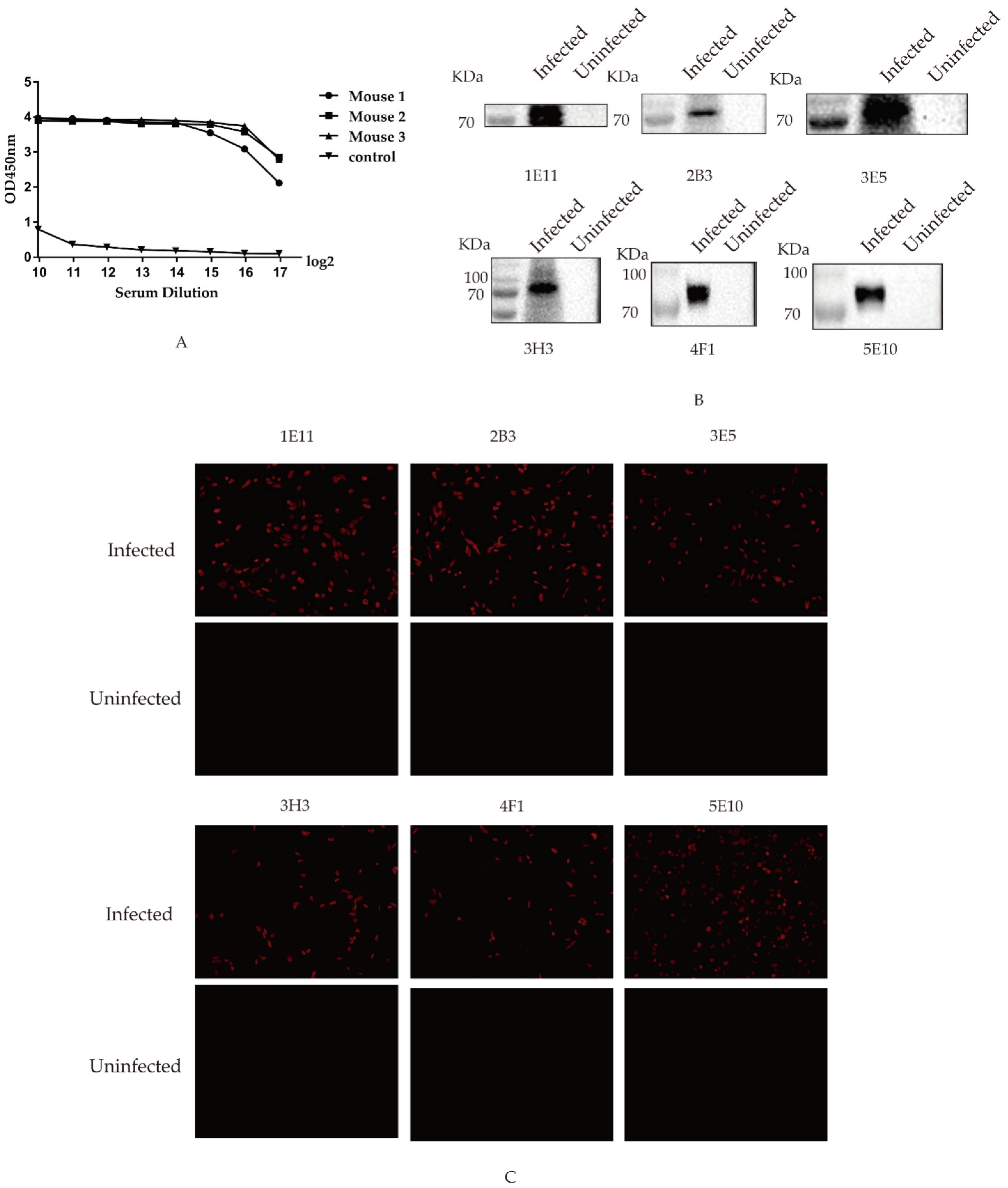 Viruses 14 02739 g002