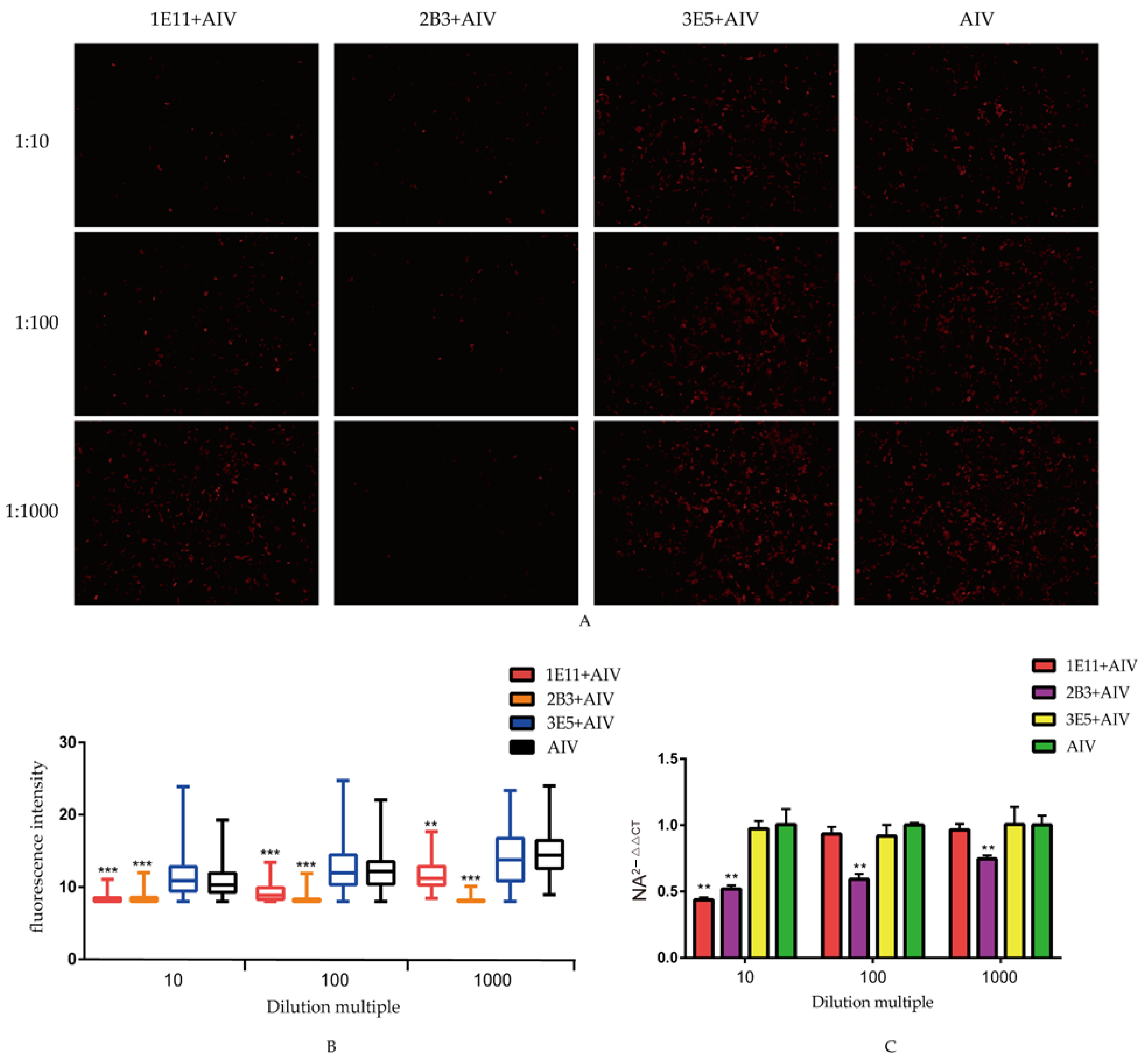 Viruses 14 02739 g004