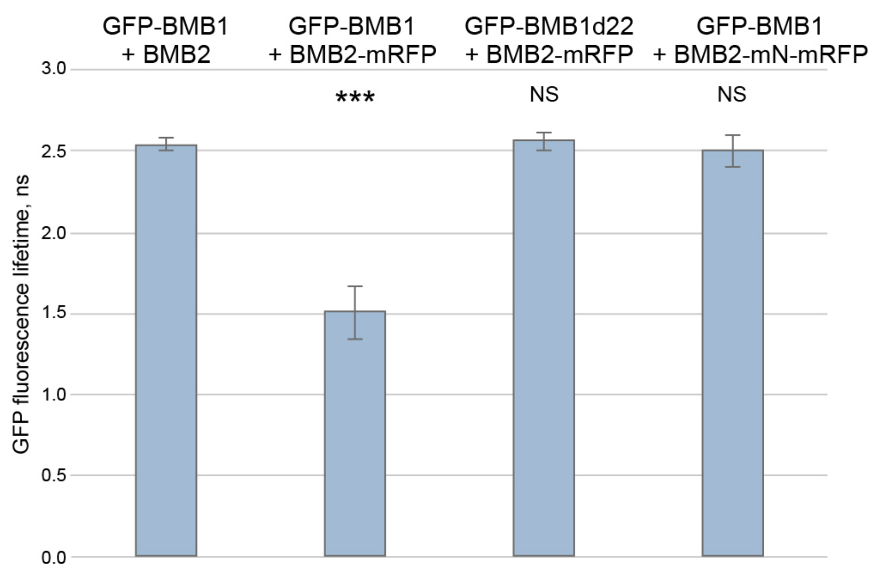 Viruses 14 02742 g008 Viruses 14 02742 g008