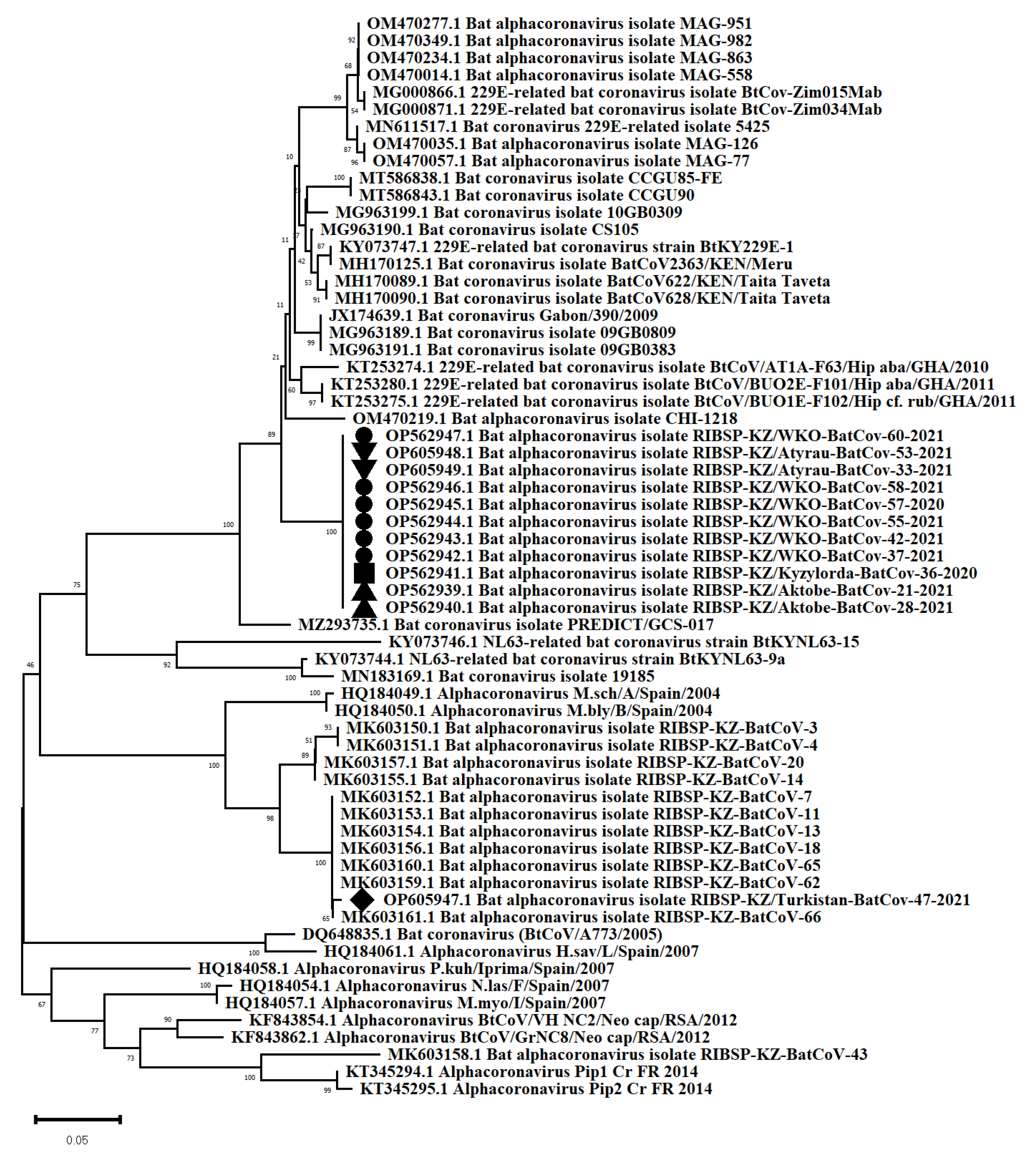 Viruses 14 02743 g005