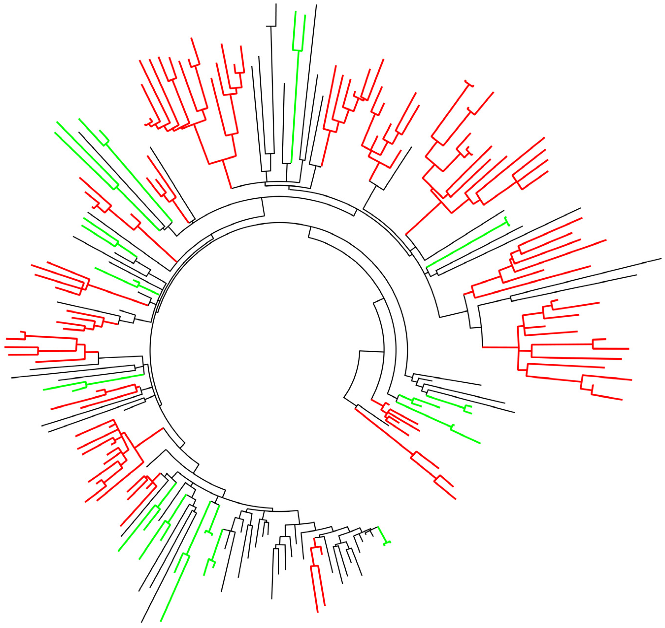 Viruses 14 02748 g002