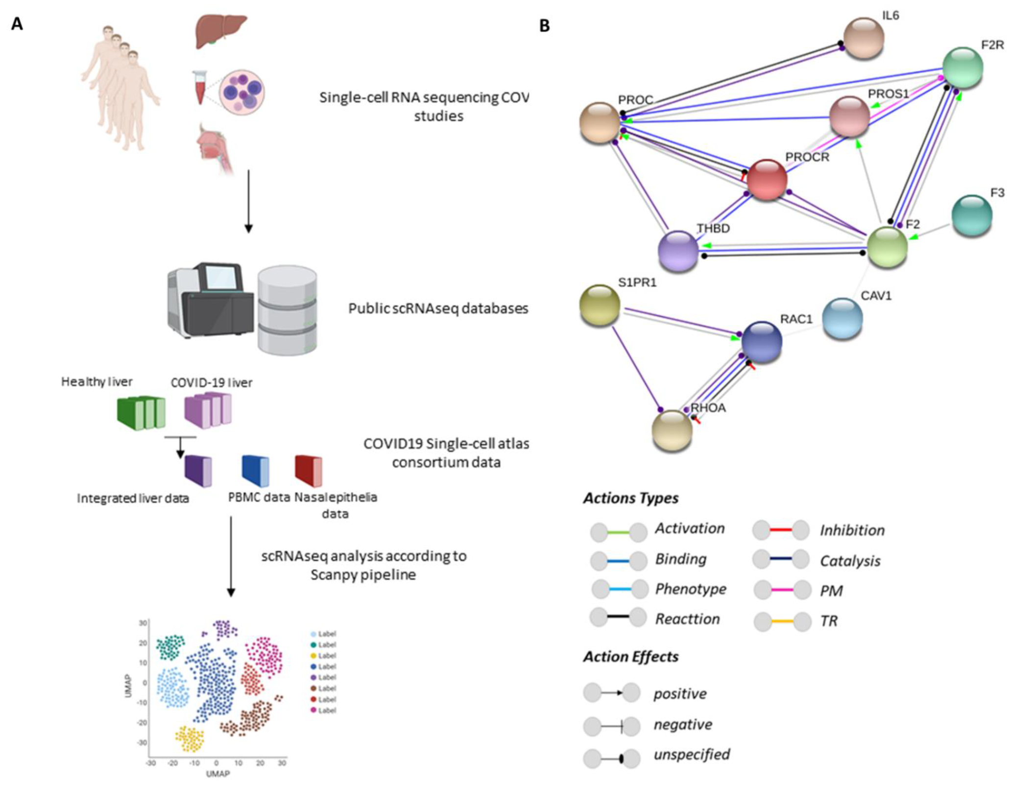 Viruses 14 02753 g001 Viruses 14 02753 g001