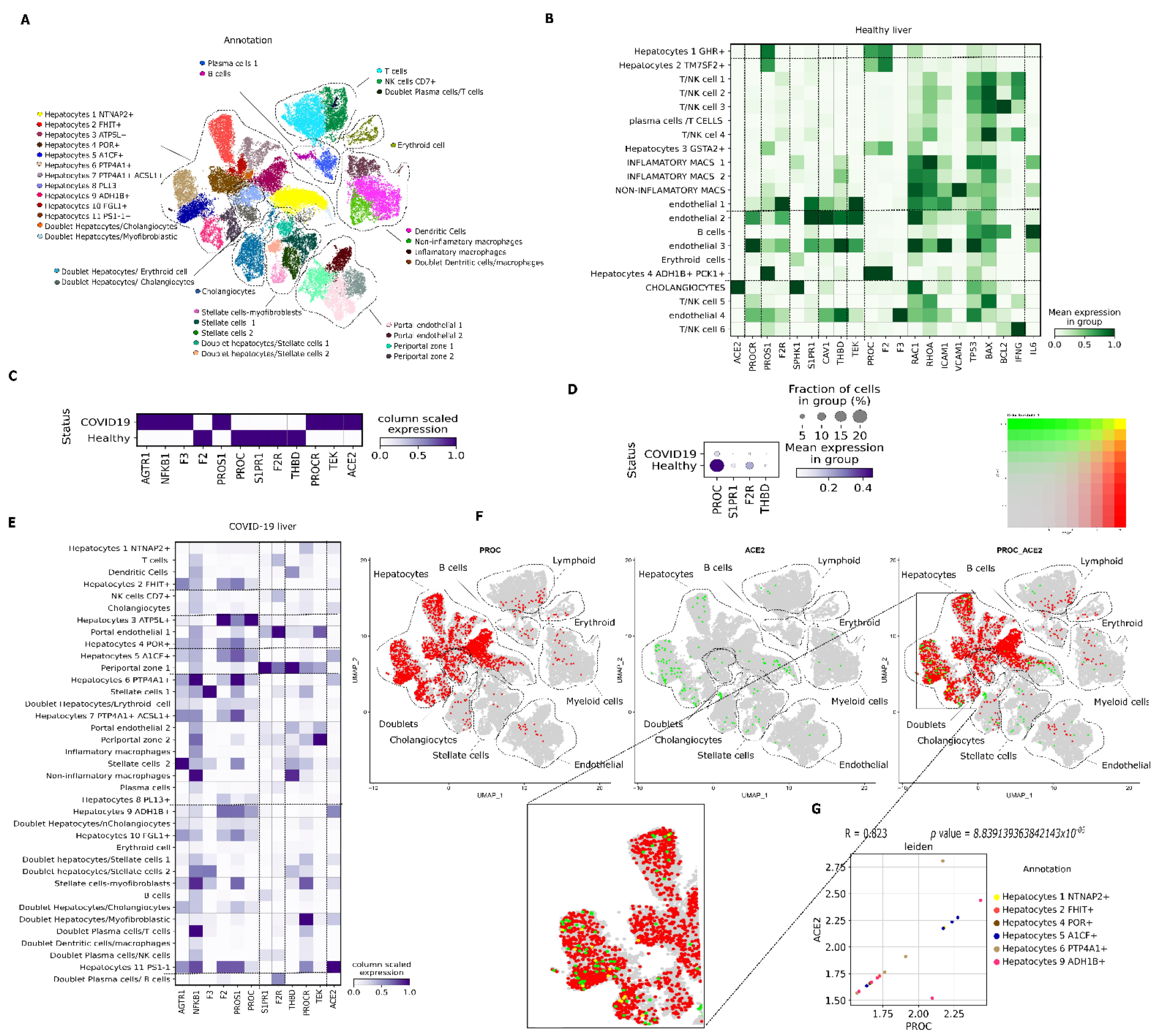 Viruses 14 02753 g002 Viruses 14 02753 g002