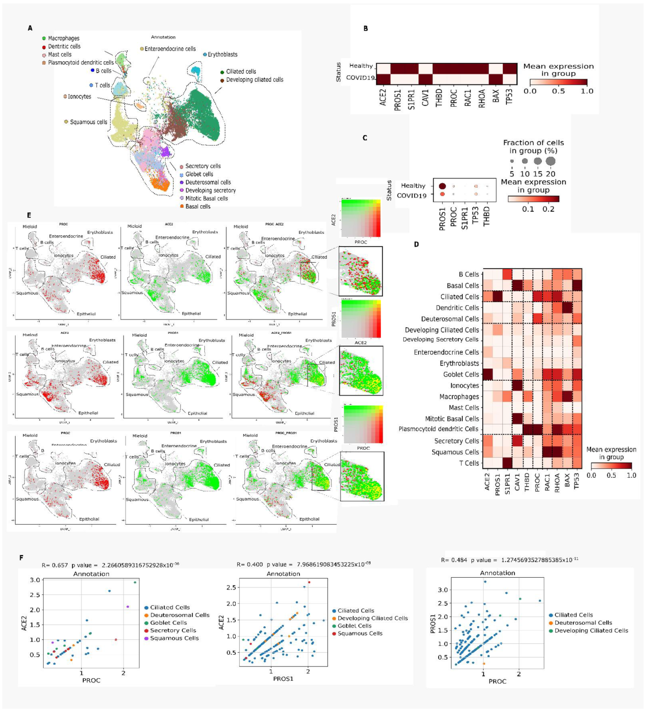 Viruses 14 02753 g004 Viruses 14 02753 g004