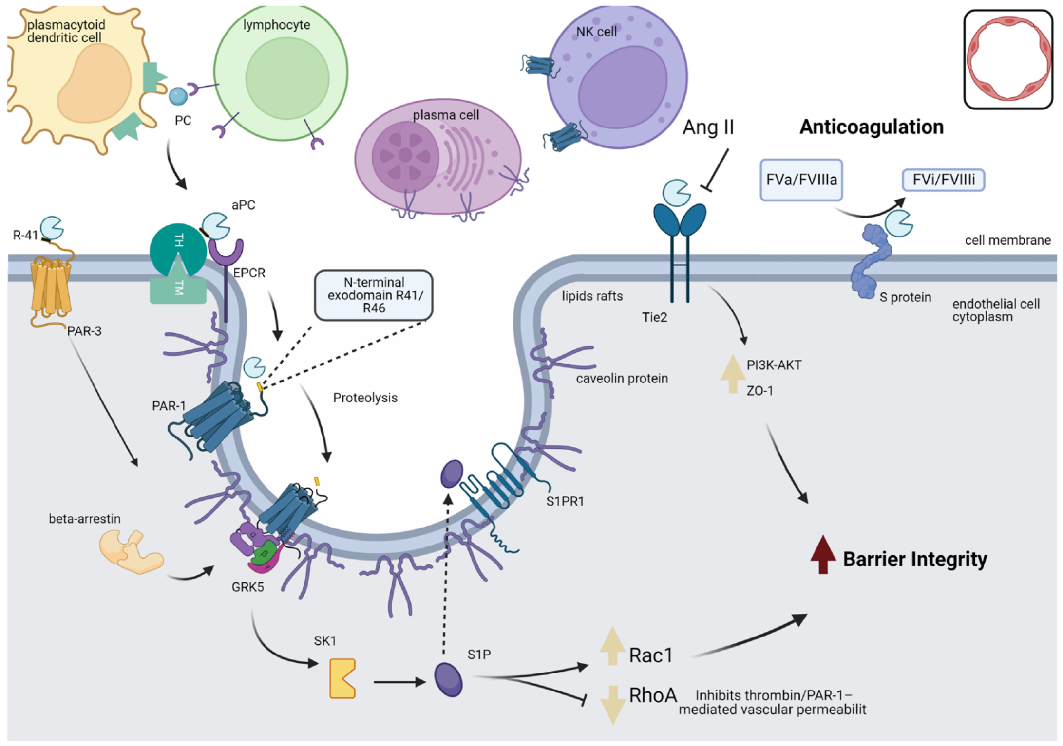 Viruses 14 02753 g005 Viruses 14 02753 g005