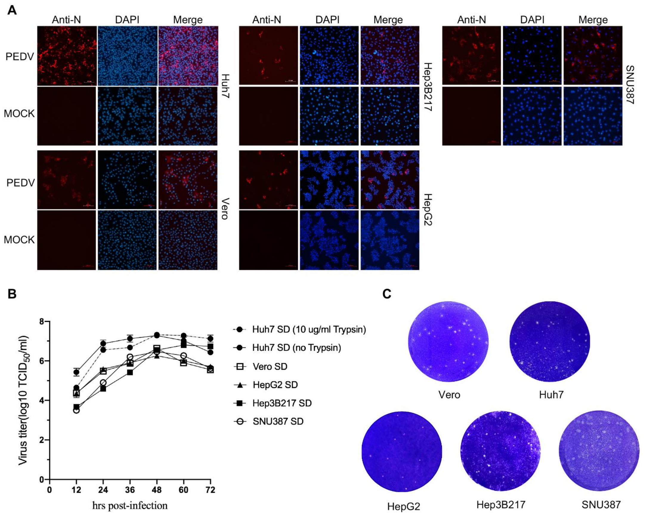 Viruses 14 02754 g002
