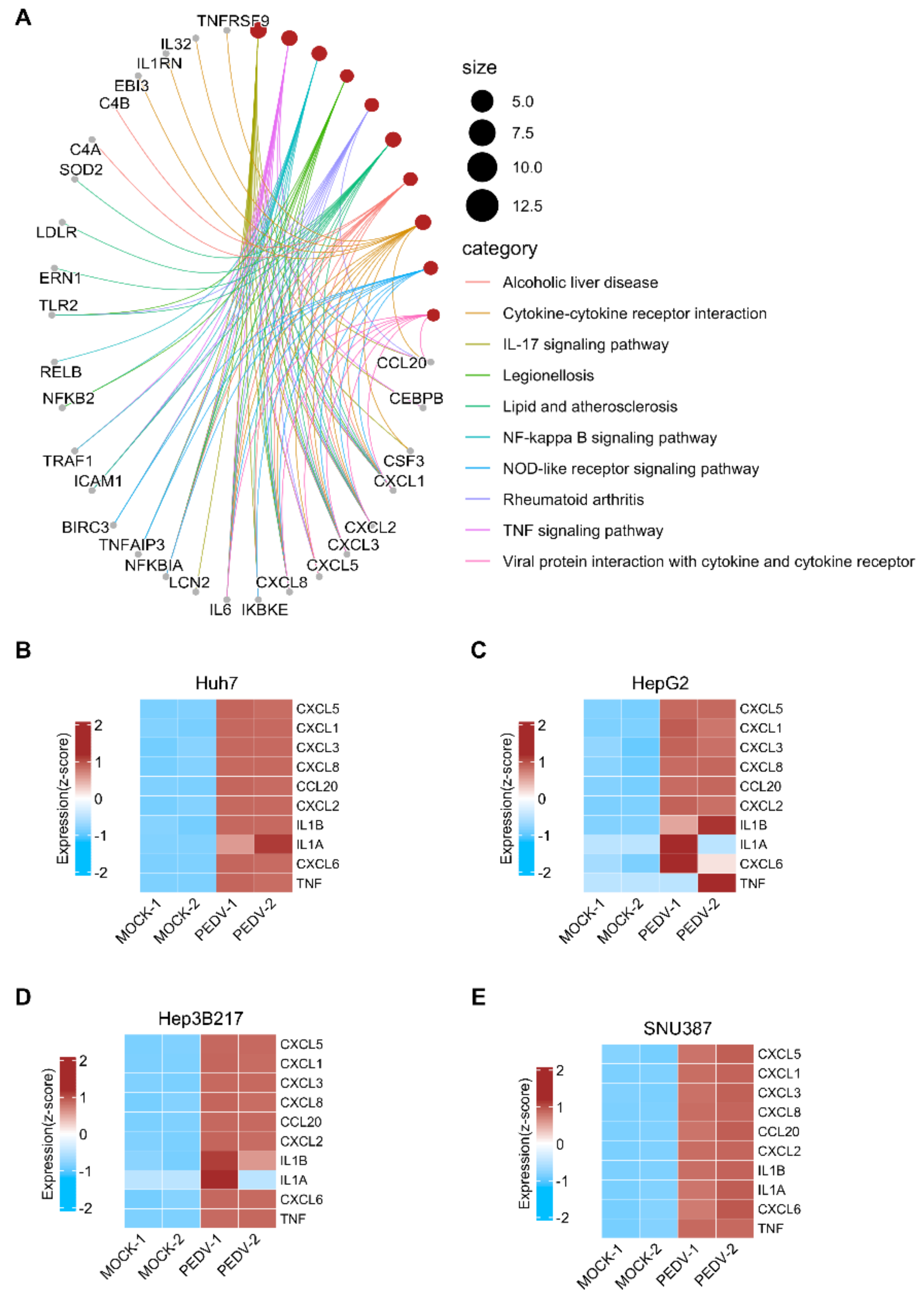 Viruses 14 02754 g004