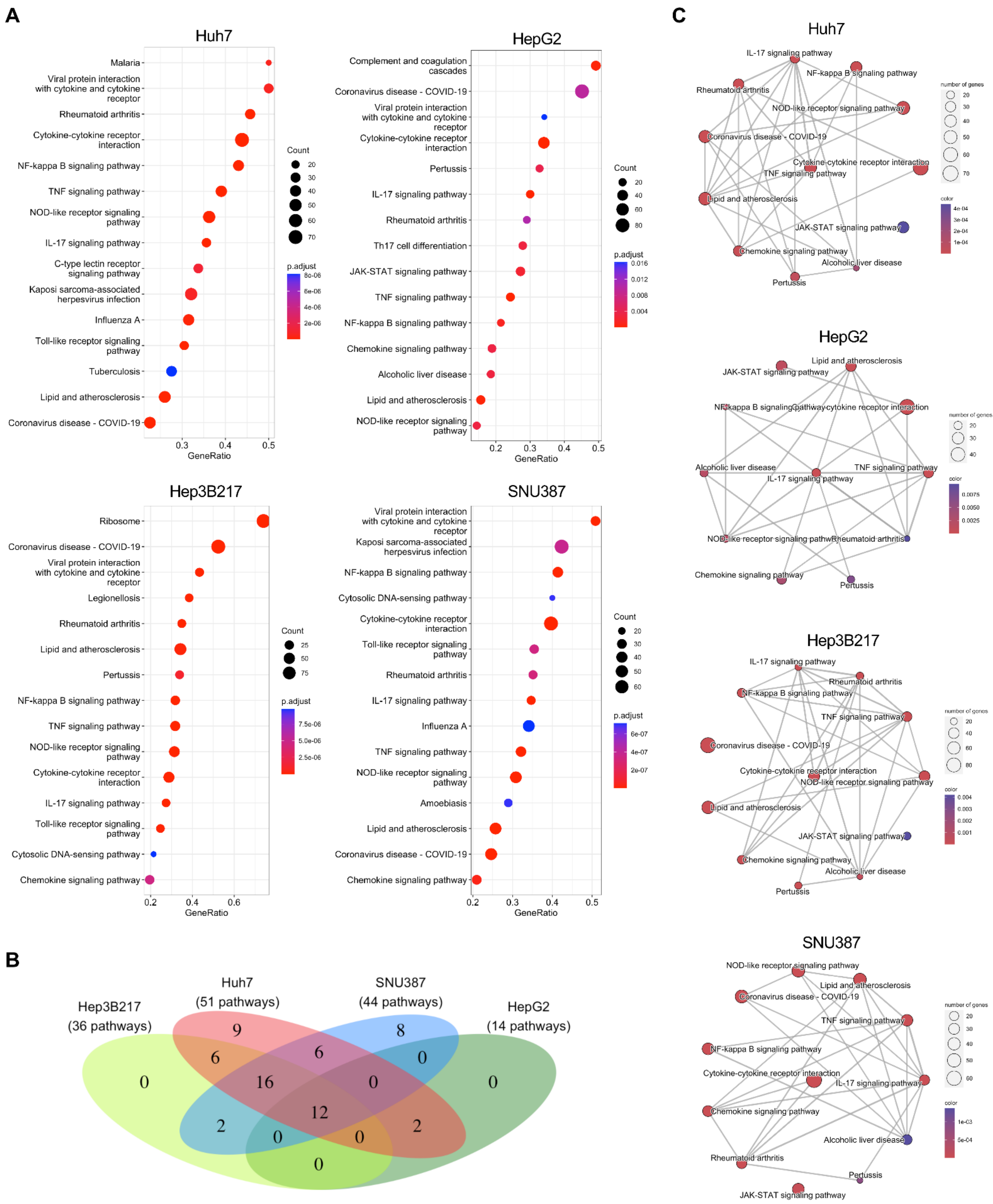 Viruses 14 02754 g005