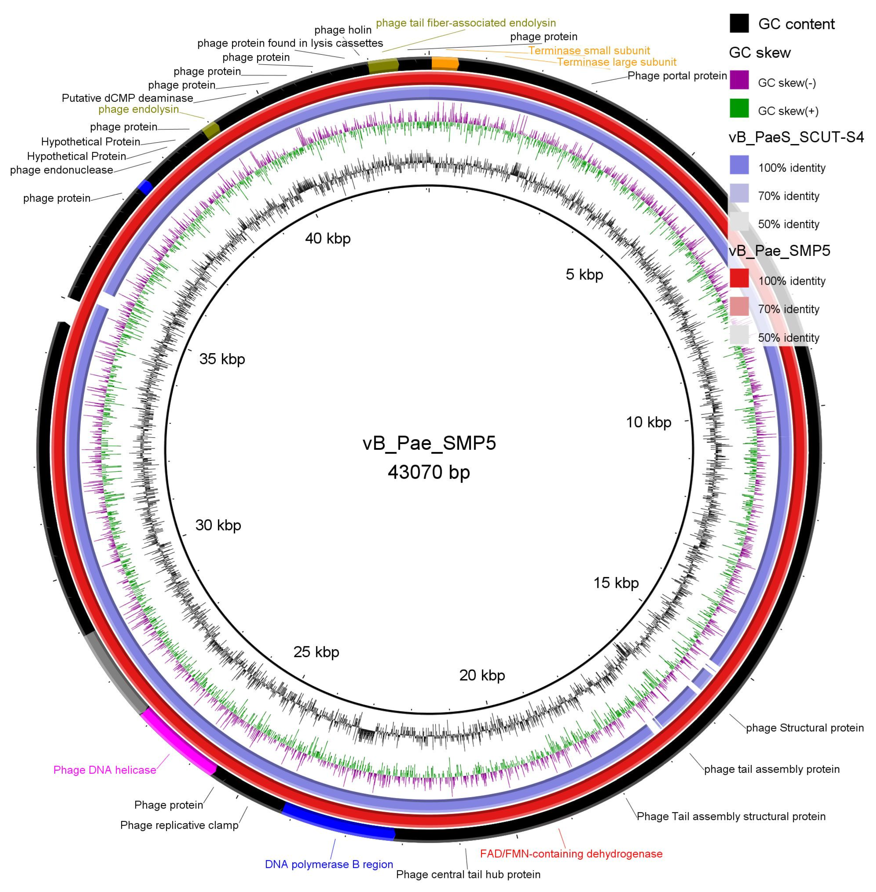 Viruses 14 02760 g002 Viruses 14 02760 g002
