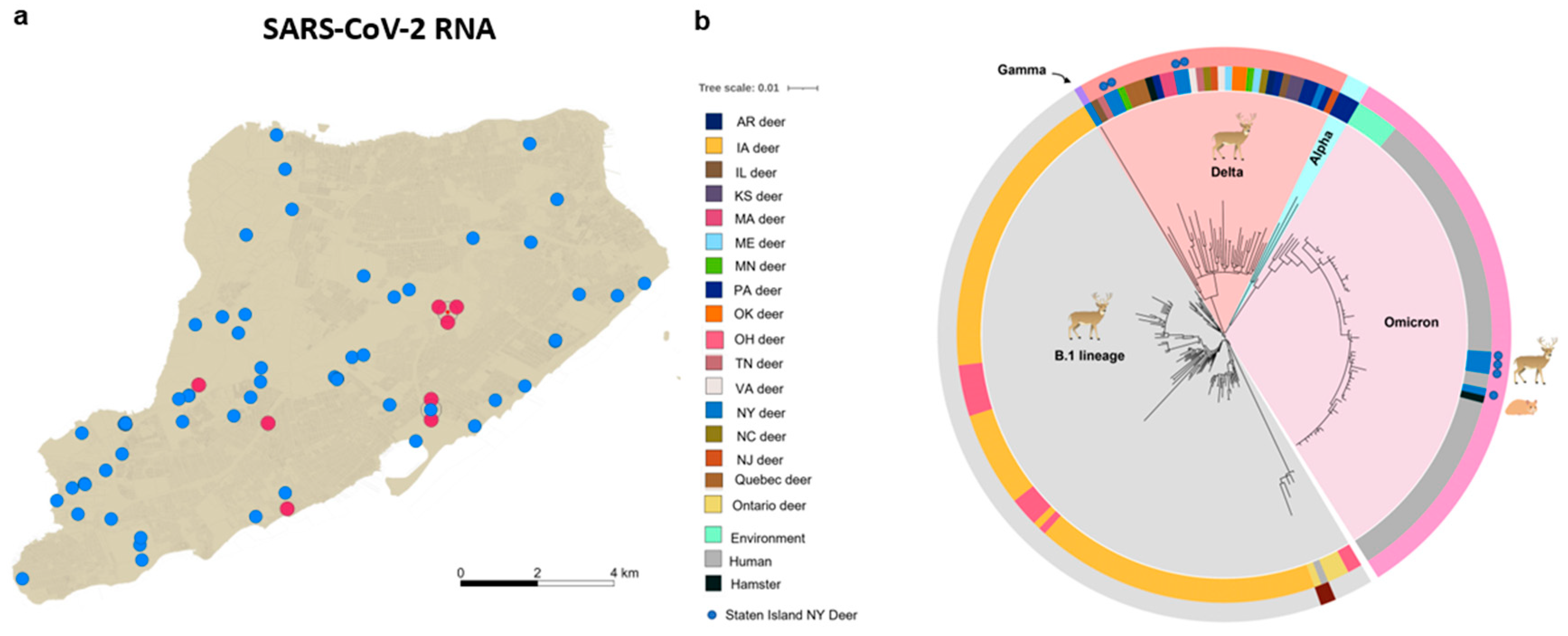 Viruses 14 02770 g001