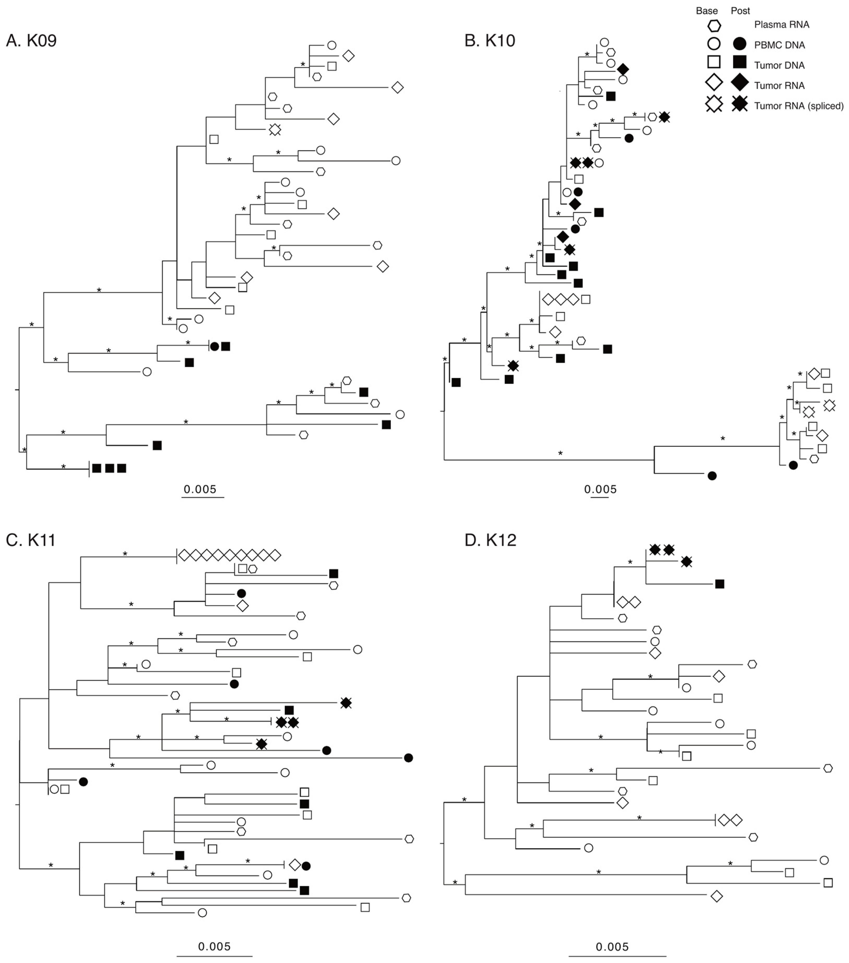 Viruses 14 02774 g002