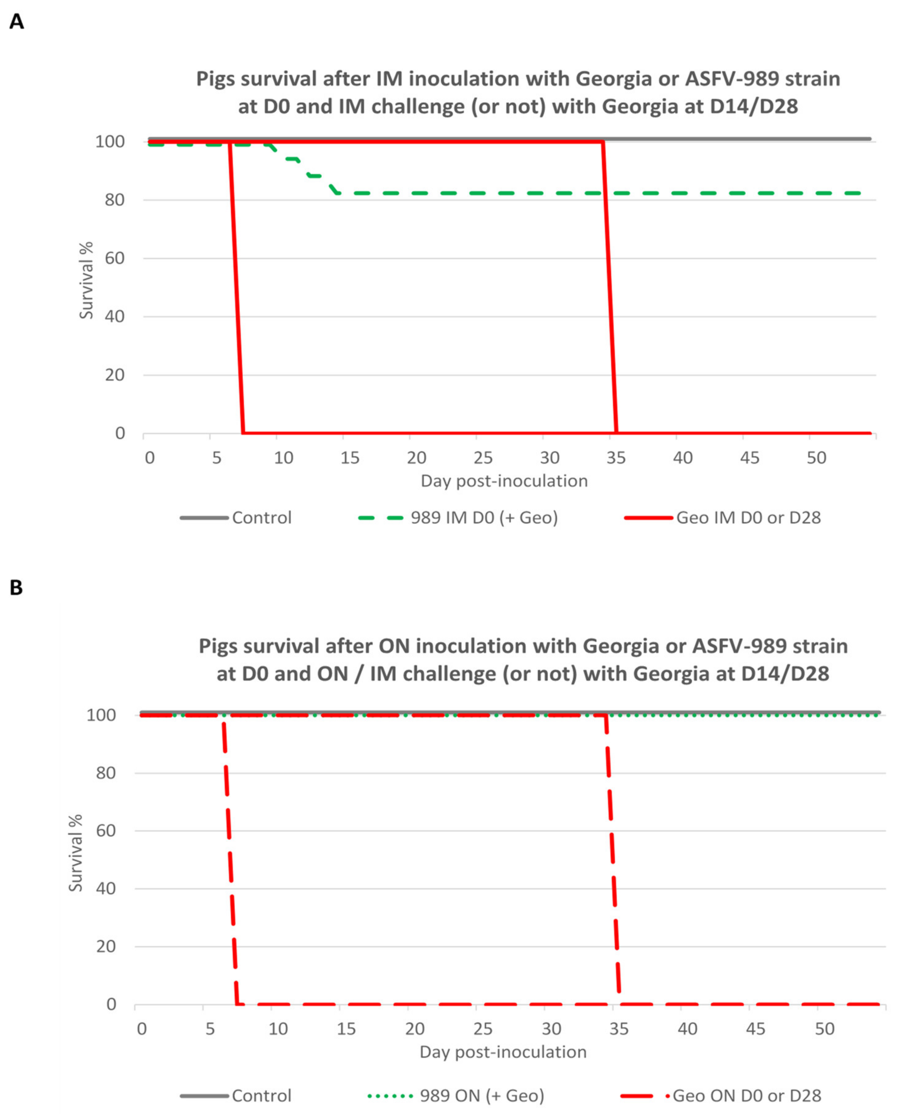 Viruses 14 02777 g008
