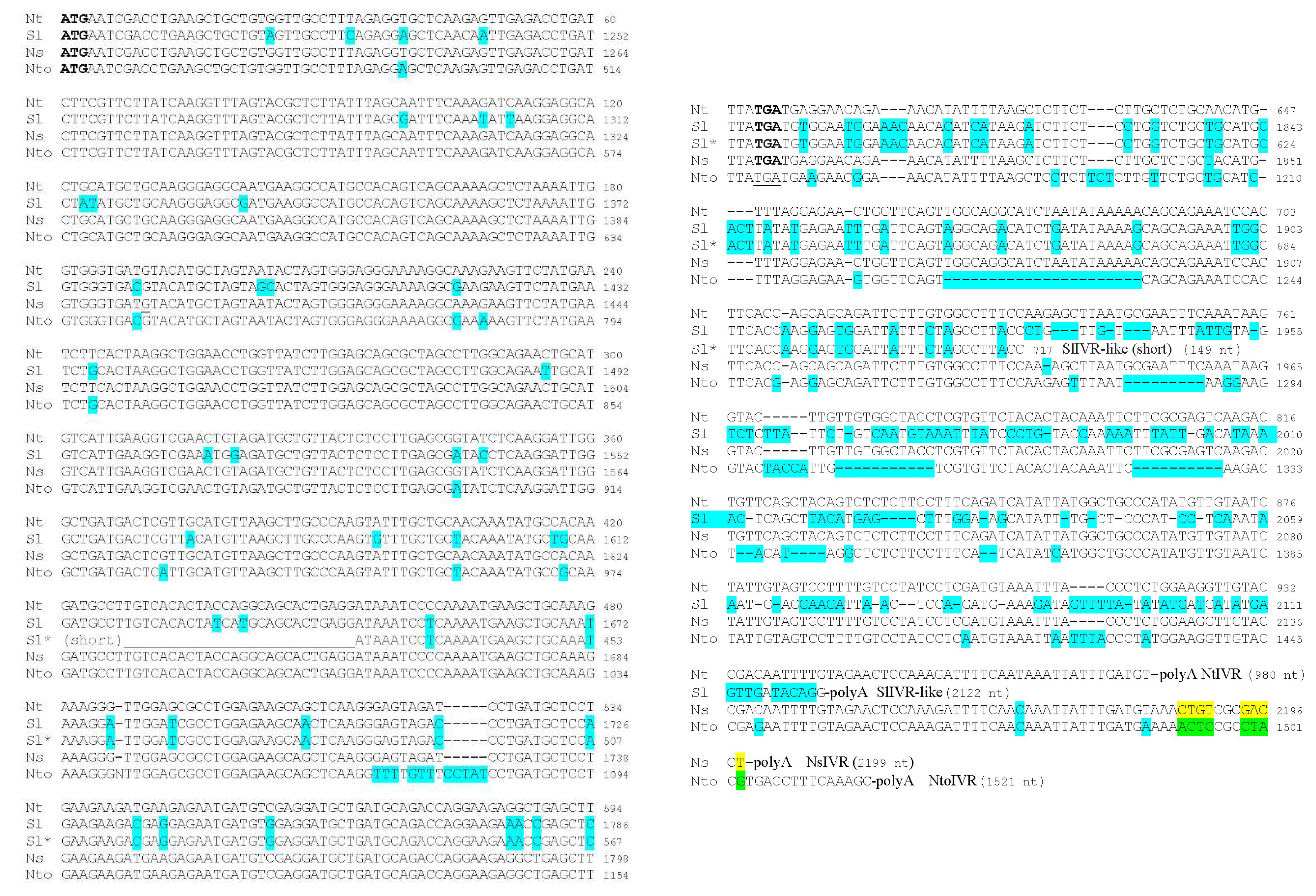Viruses 14 02782 g002