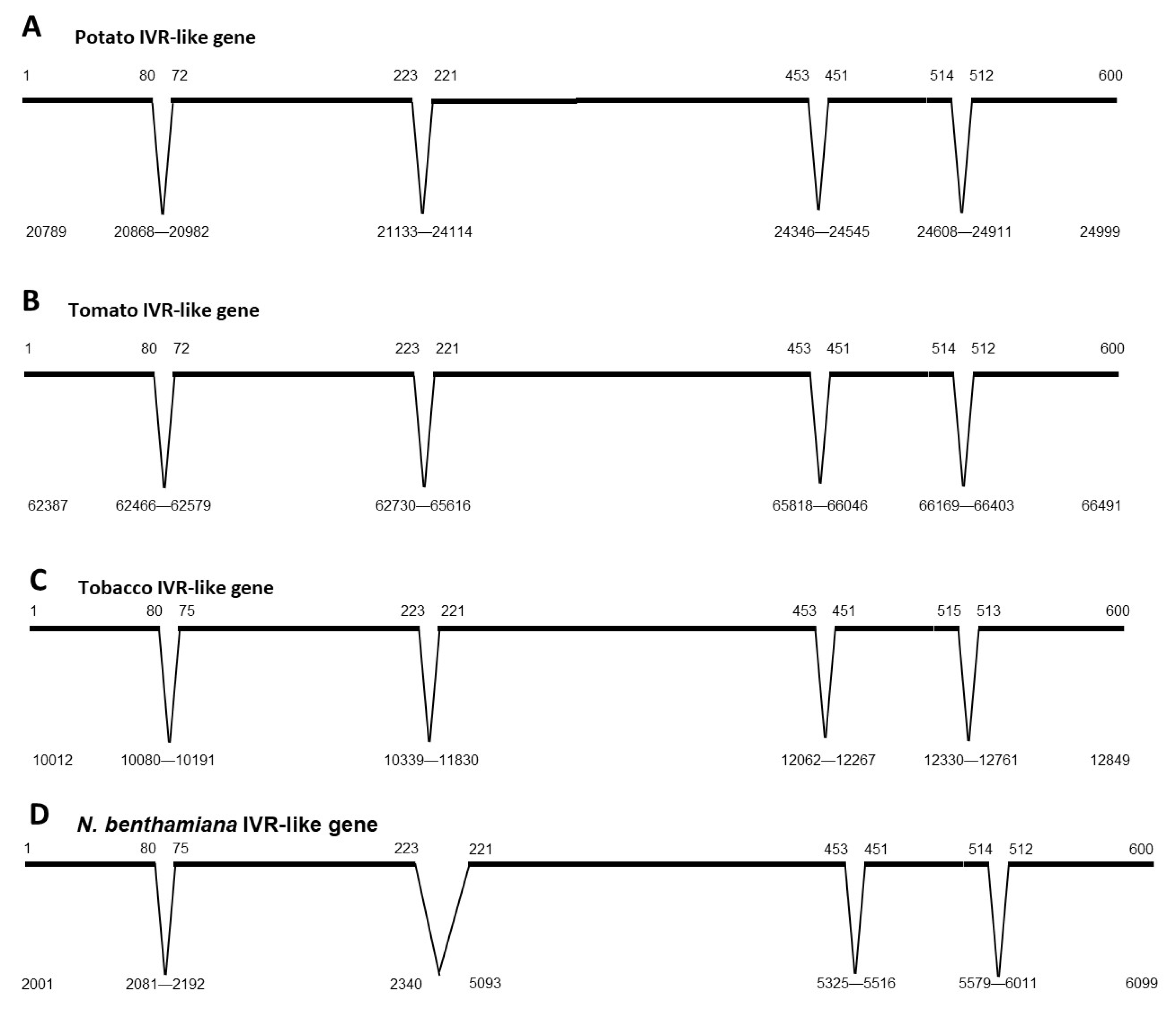 Viruses 14 02782 g003