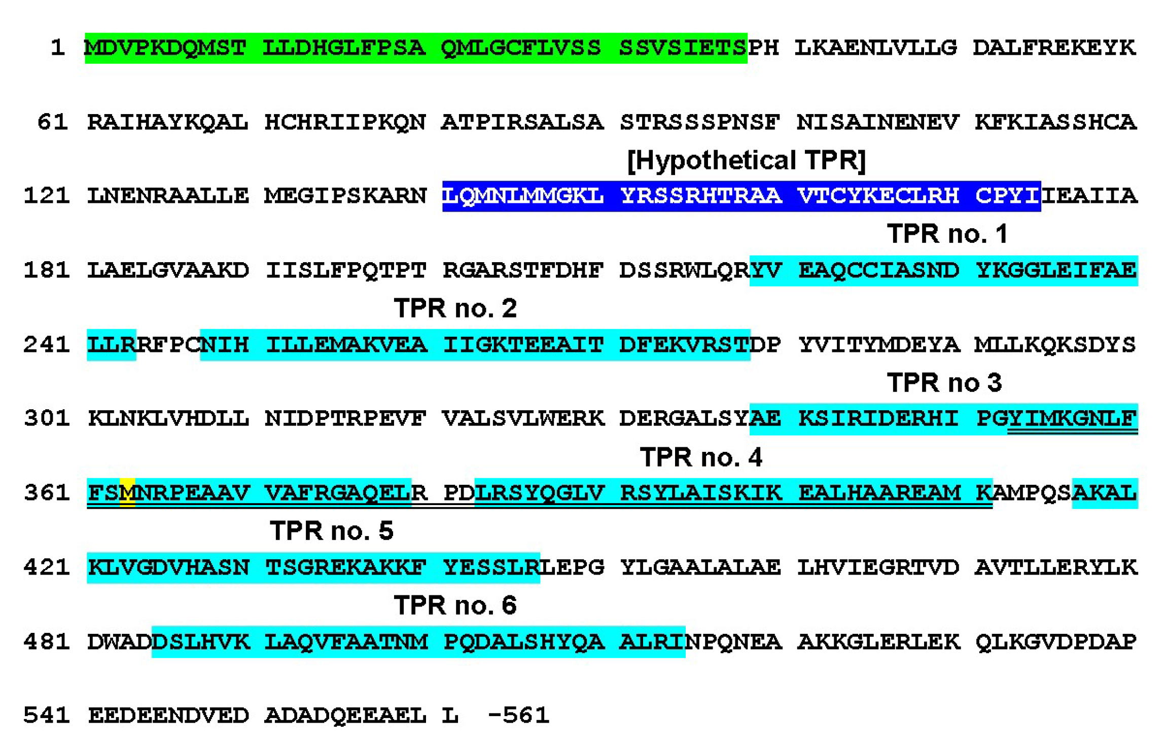 Viruses 14 02782 g005