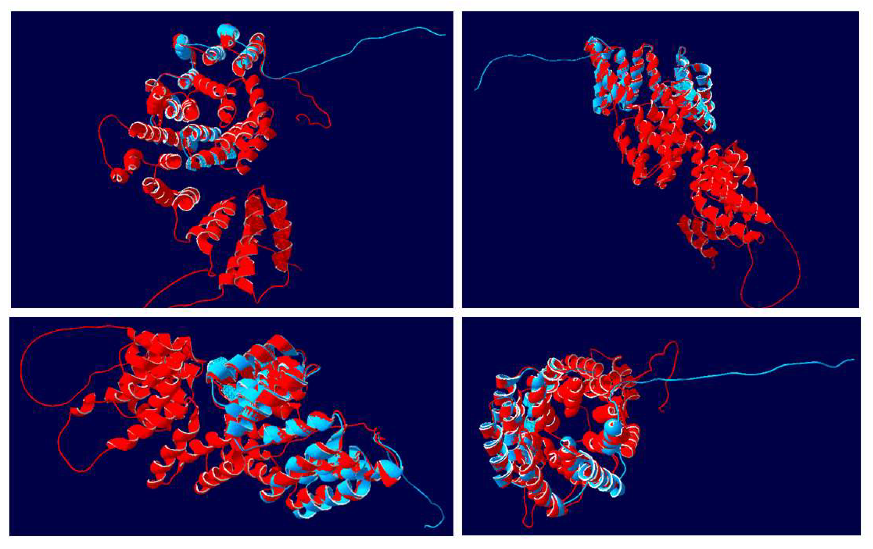 Viruses 14 02782 g008