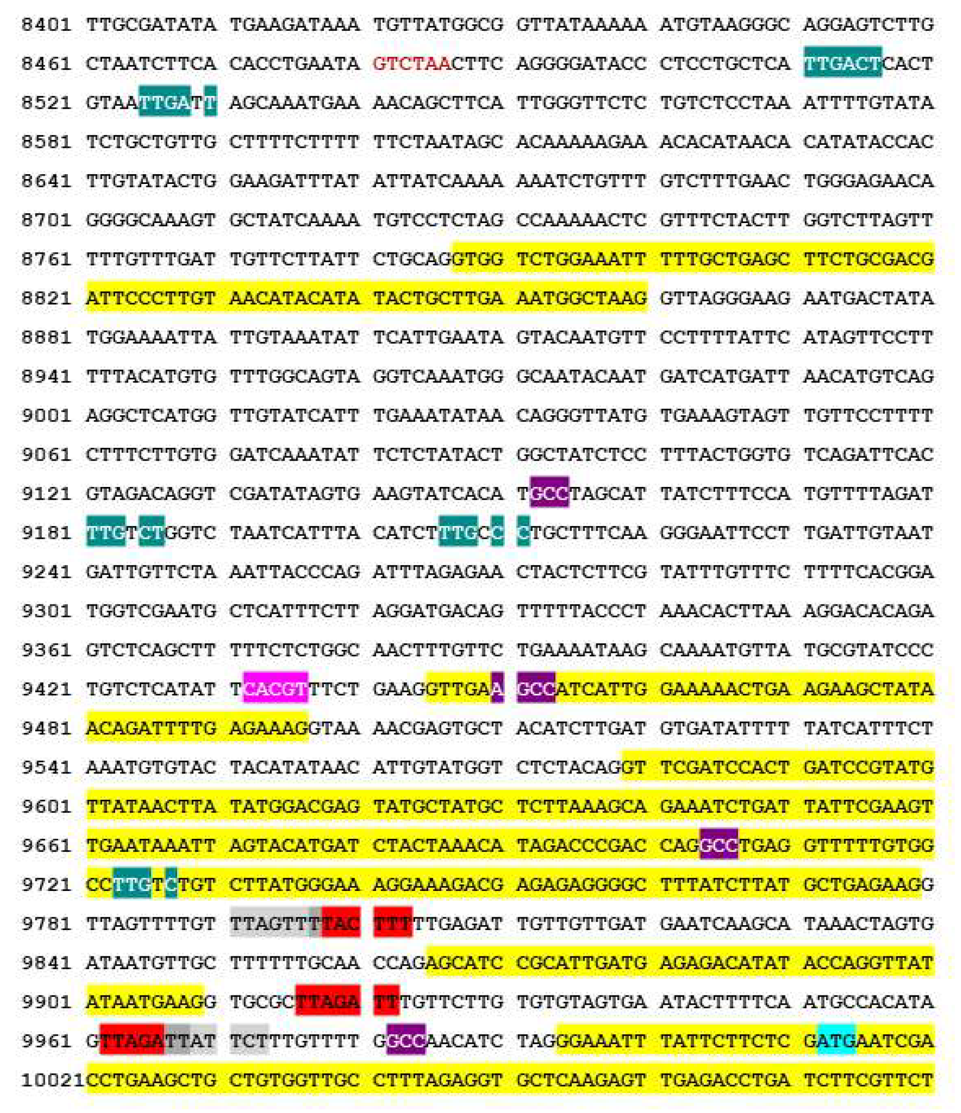 Viruses 14 02782 g009