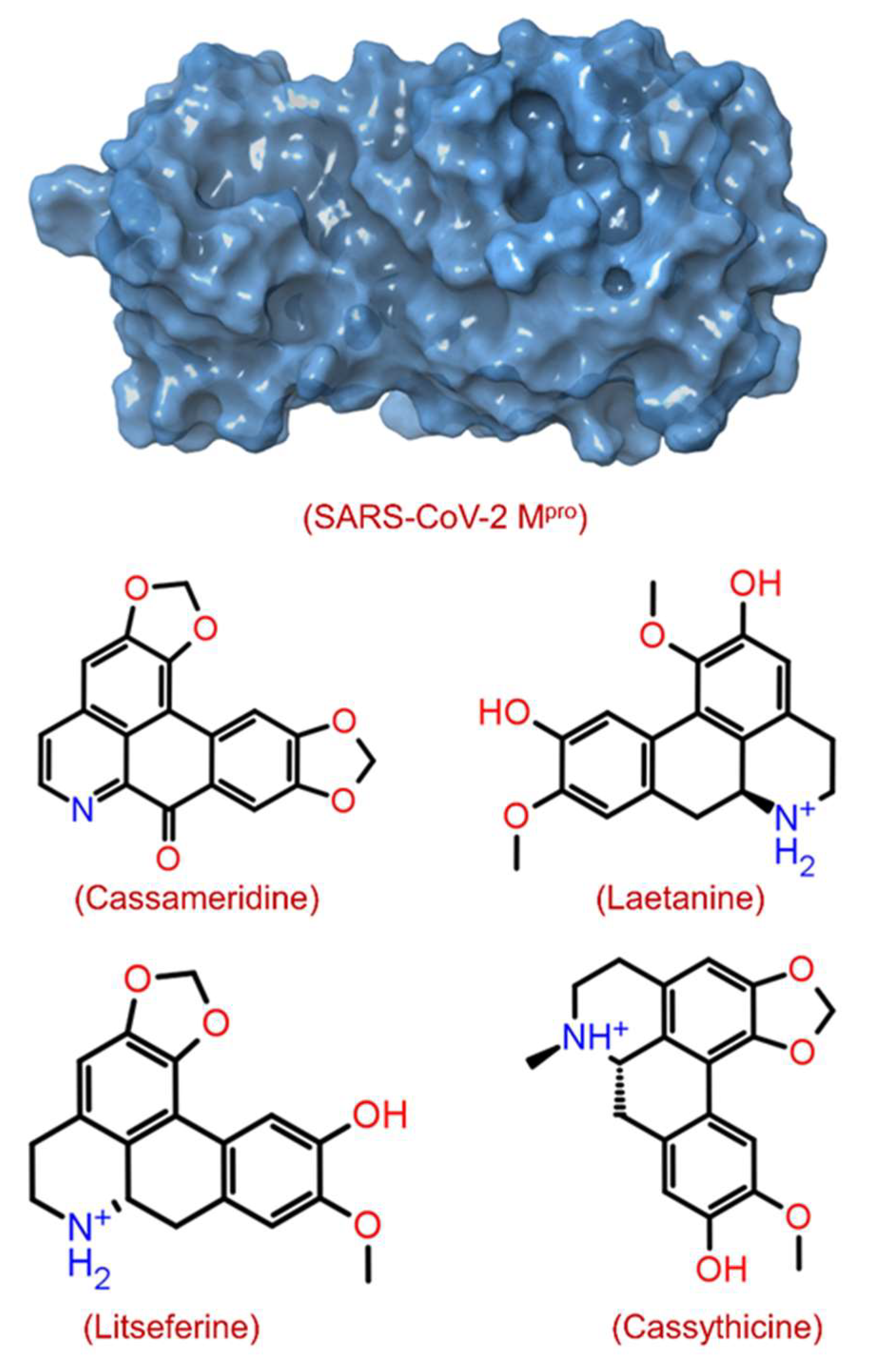 Viruses 14 02783 g001