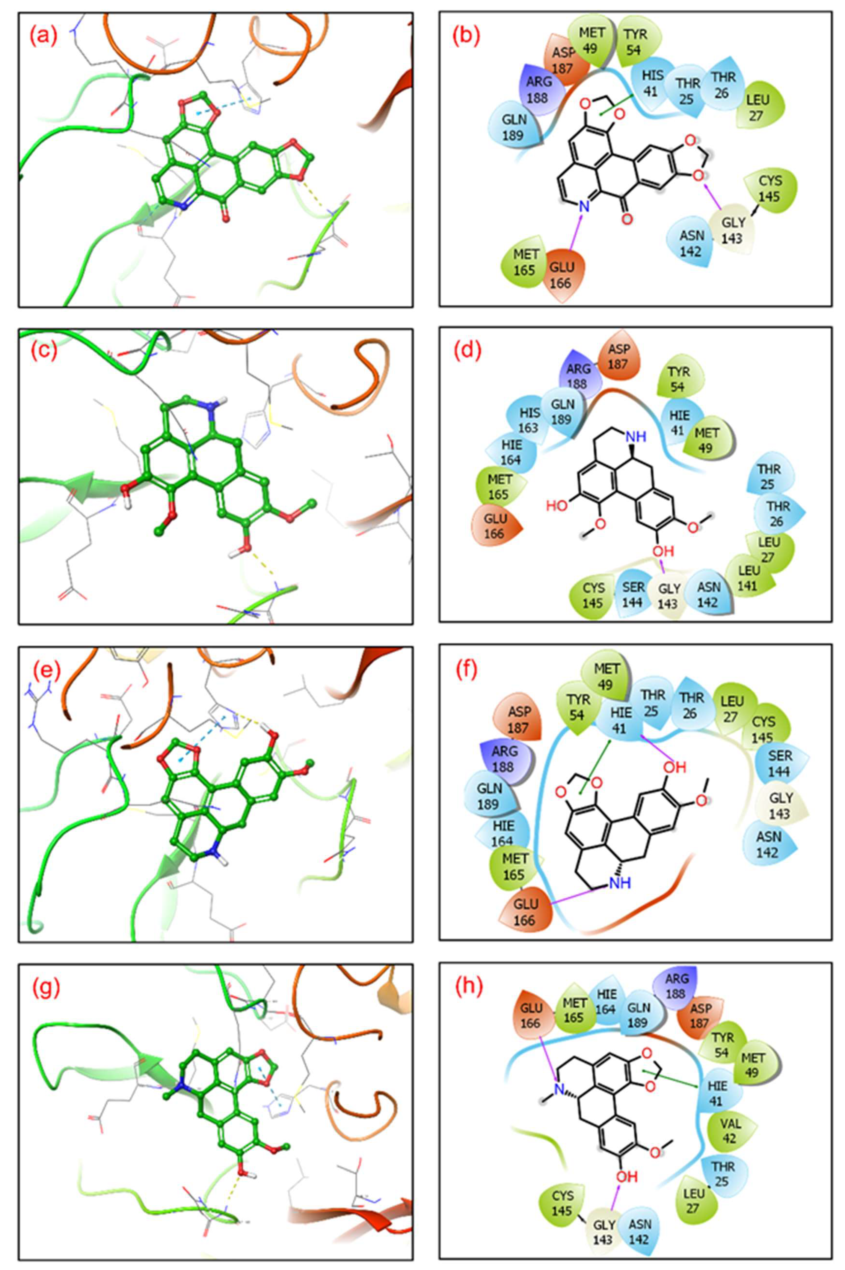 Viruses 14 02783 g002